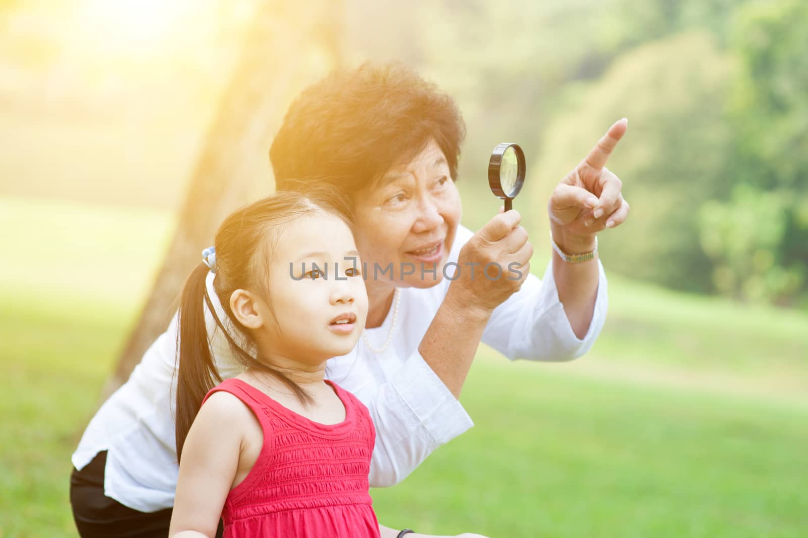 Portrait of beautiful multi generations Asian family at nature park. Grandmother and granddaughter having fun at outdoor. Morning sun flare background.
