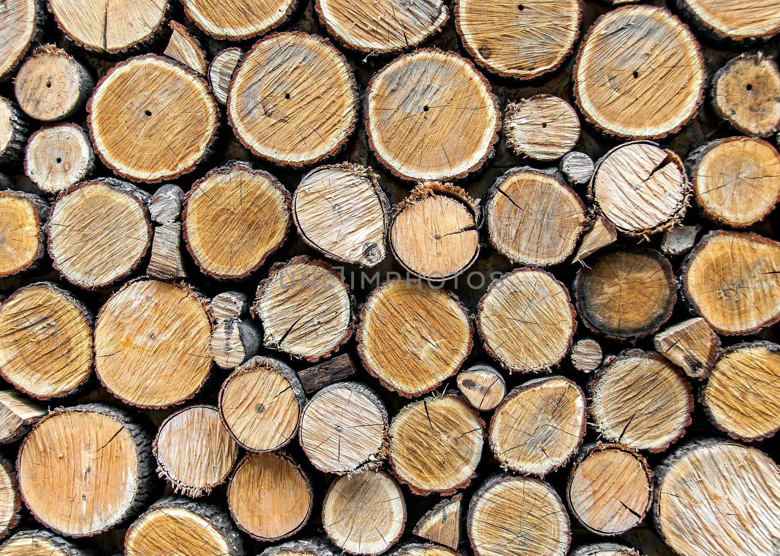Background from dry wood logs stacked on each other by Cipariss