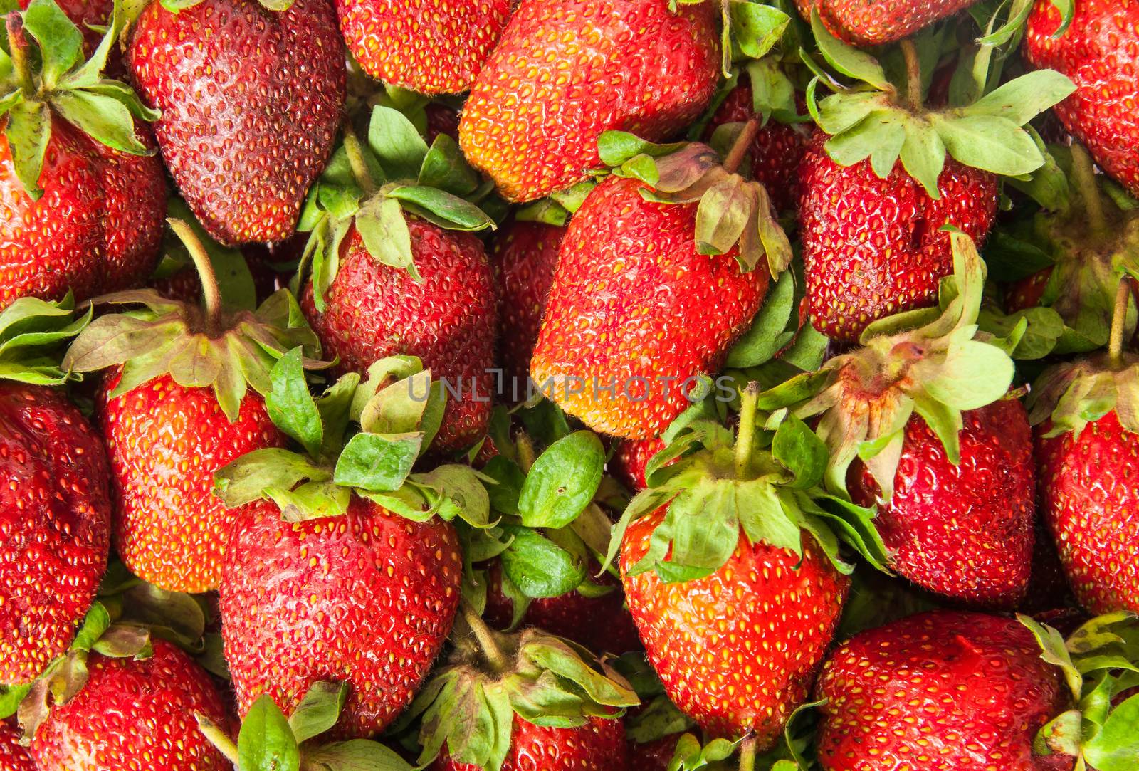 Background of fresh juicy ripe strawberries by Cipariss