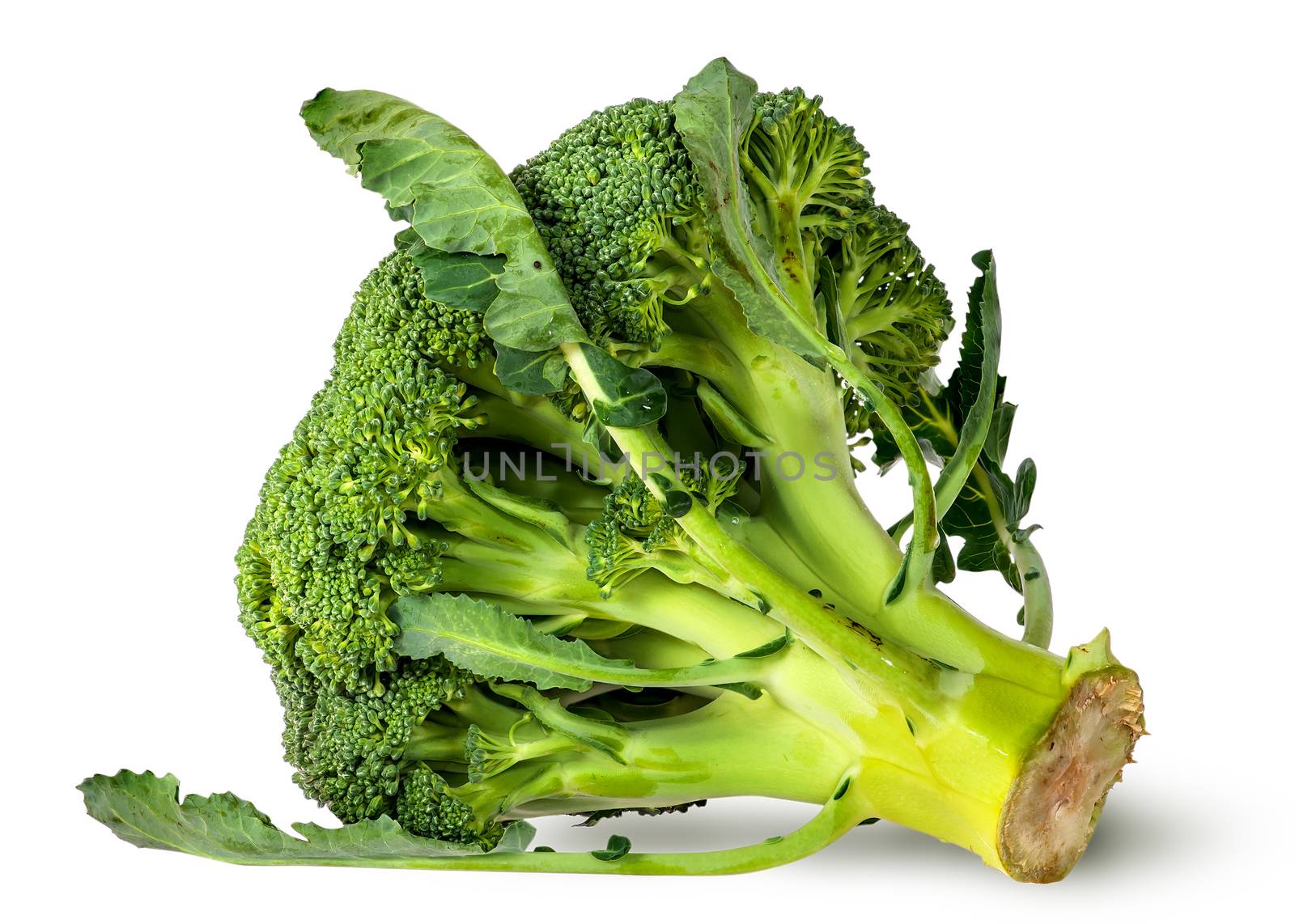 Big broccoli florets with leaves isolated on white background