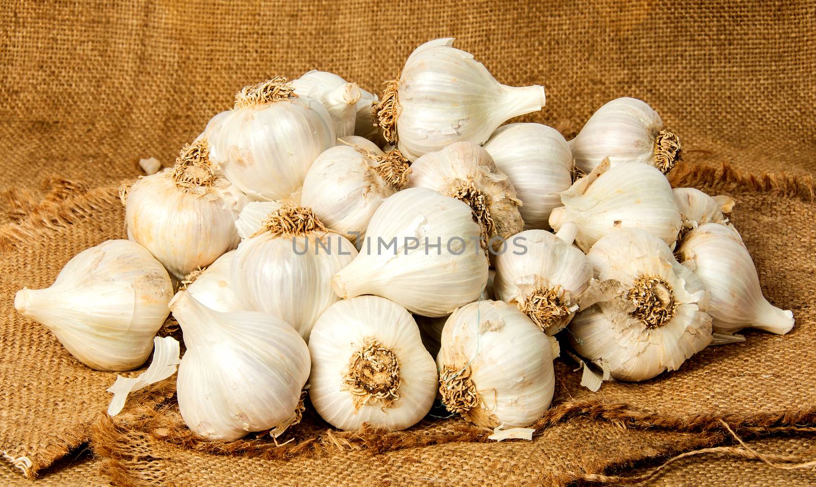 Big pile of garlic by Cipariss