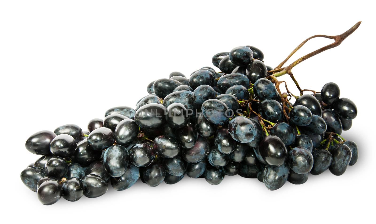 Big bunch of ripe dark grapes by Cipariss