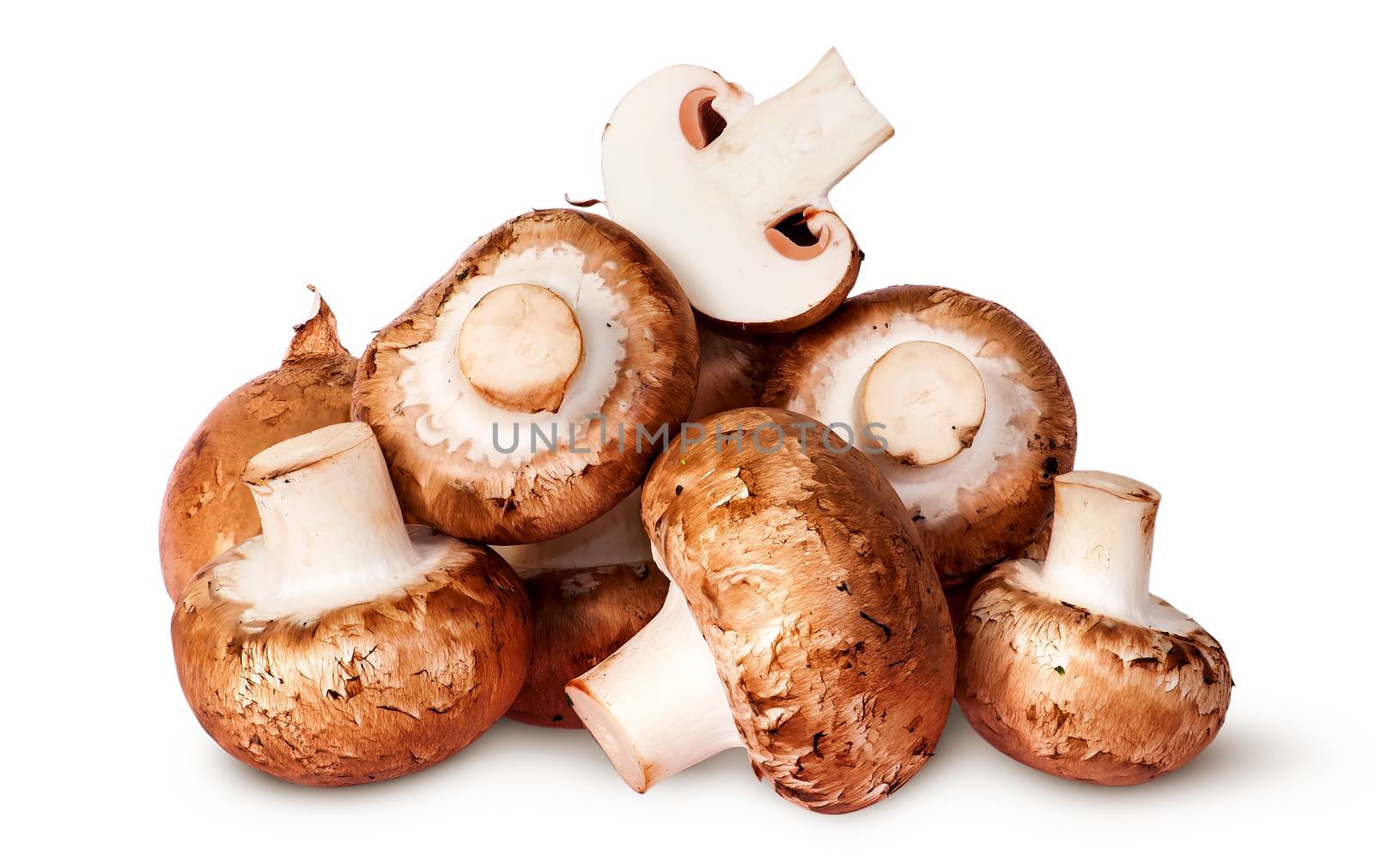 Big pile of fresh brown champignon isolated on white background