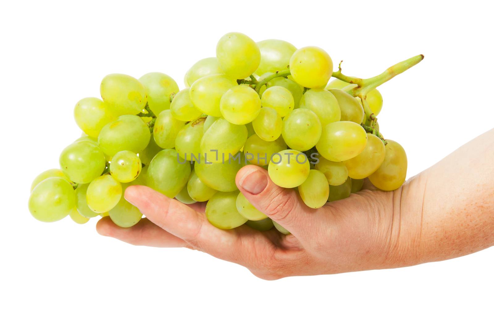 Bright grapes lying in hand by Cipariss