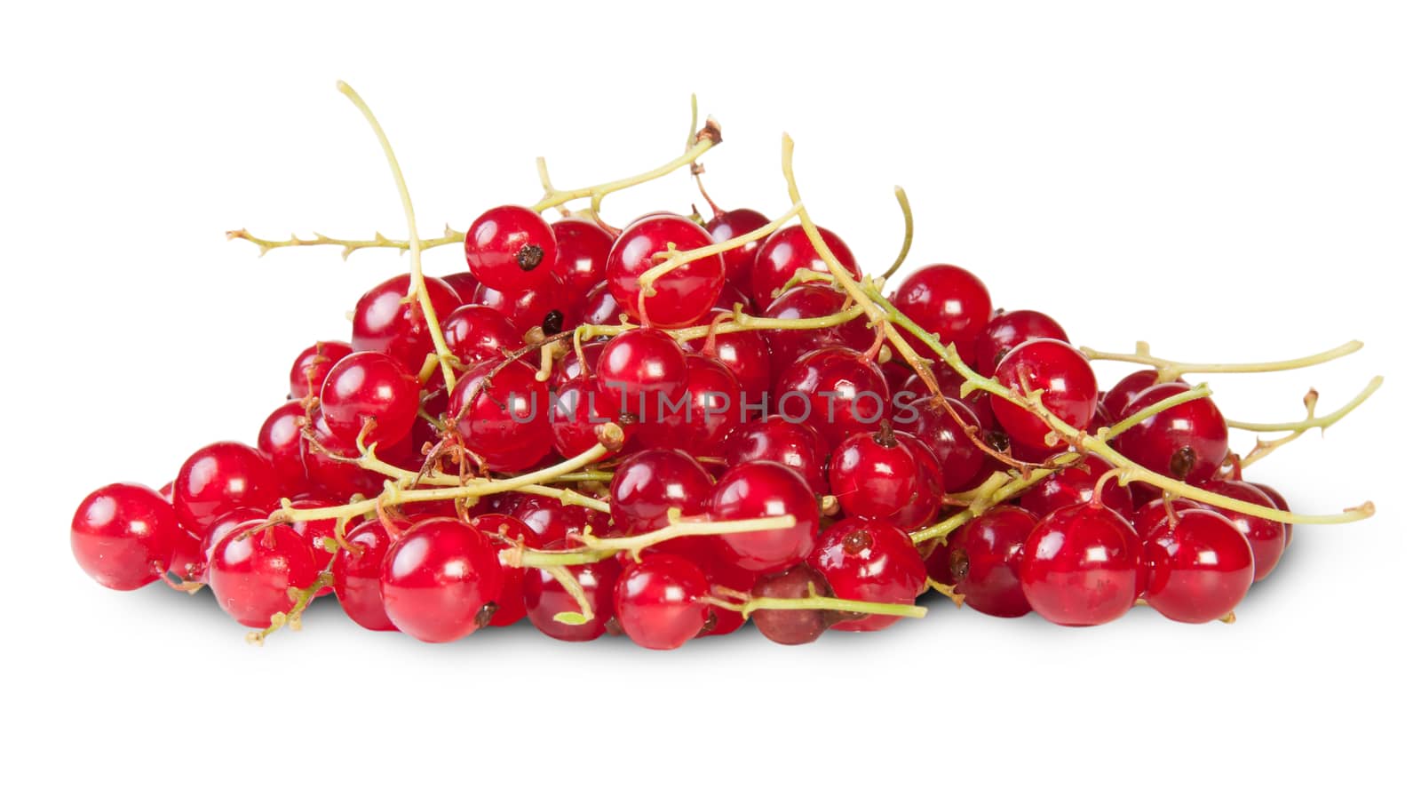 Bunch Of Red Currant Isolated On White Background