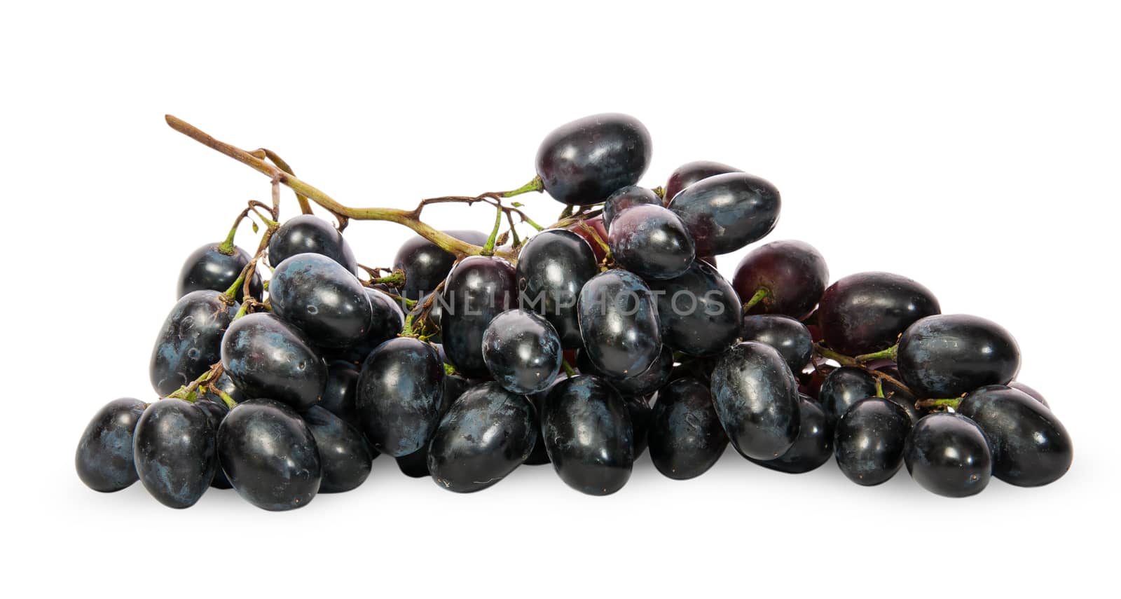 Bunch of ripe dark grapes isolated on white background