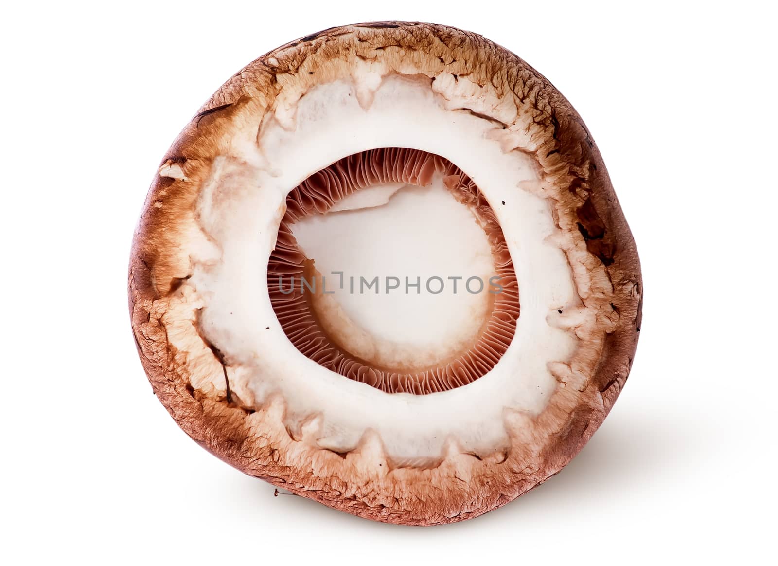Cap on a brown champignon isolated on white background