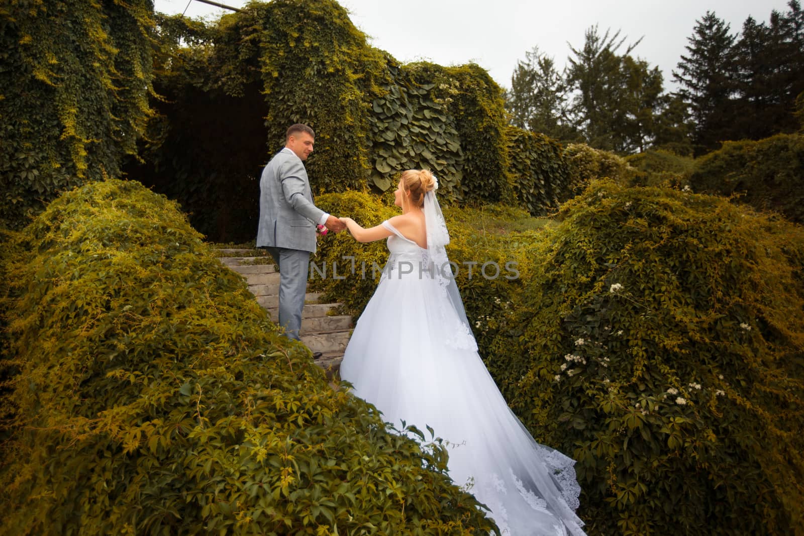 Newlyweds on a walk in the summer day wedding