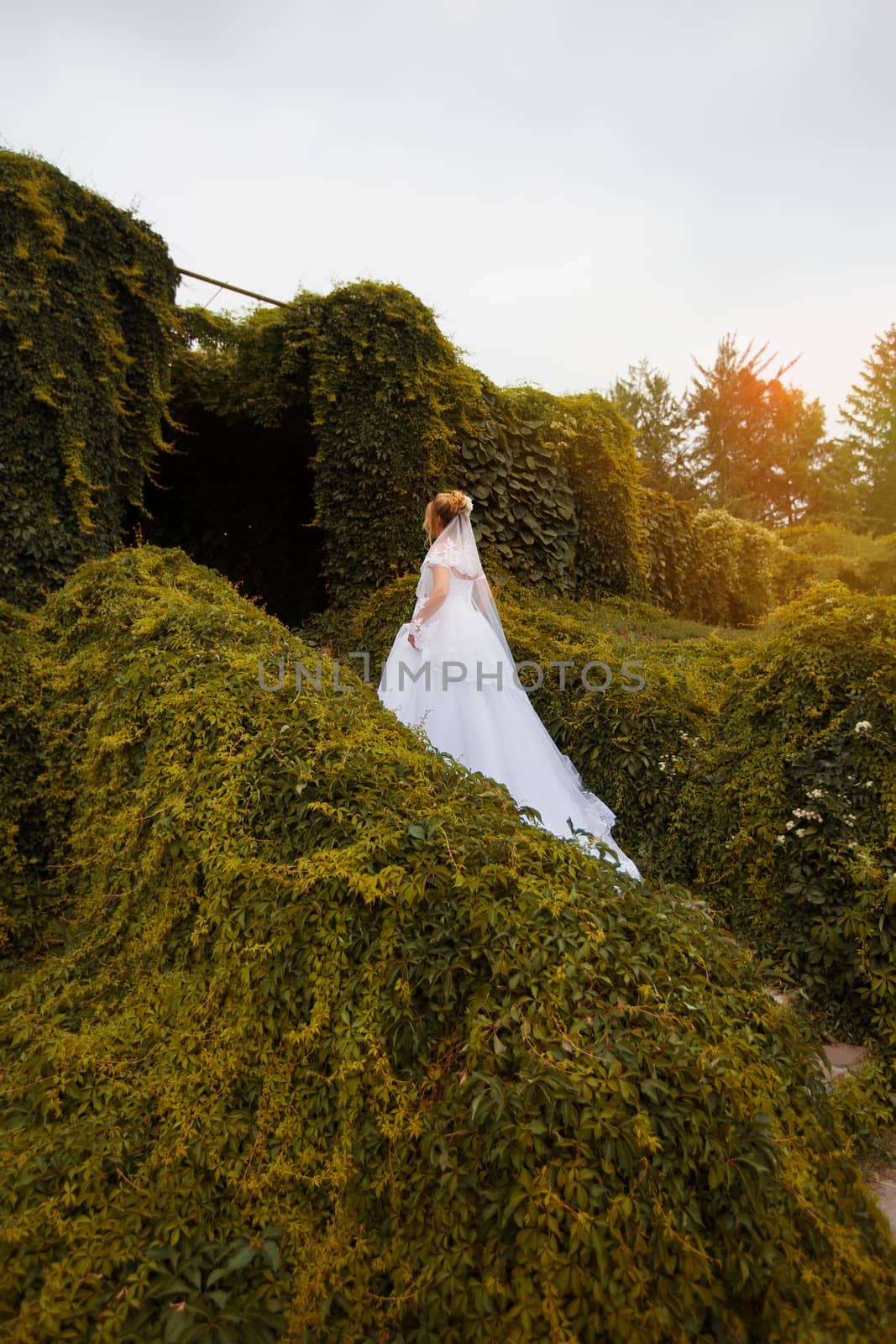 Stylish bride in a white wedding dress in summer day