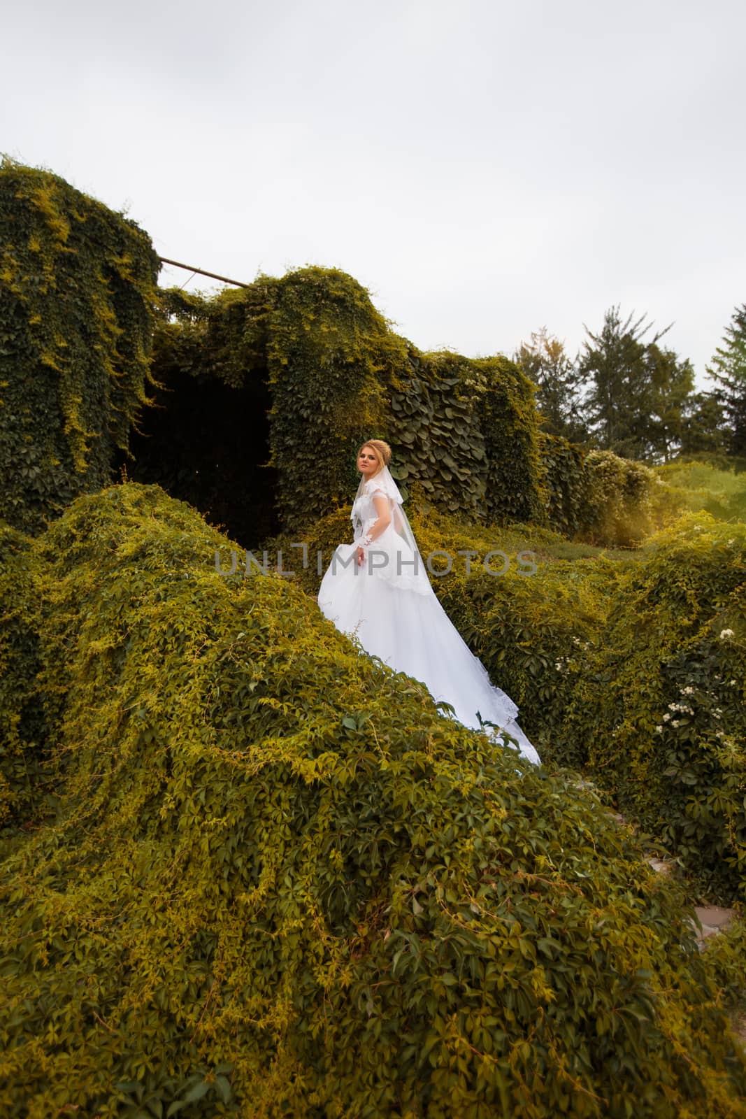 Stylish bride in a white wedding dress in summer day