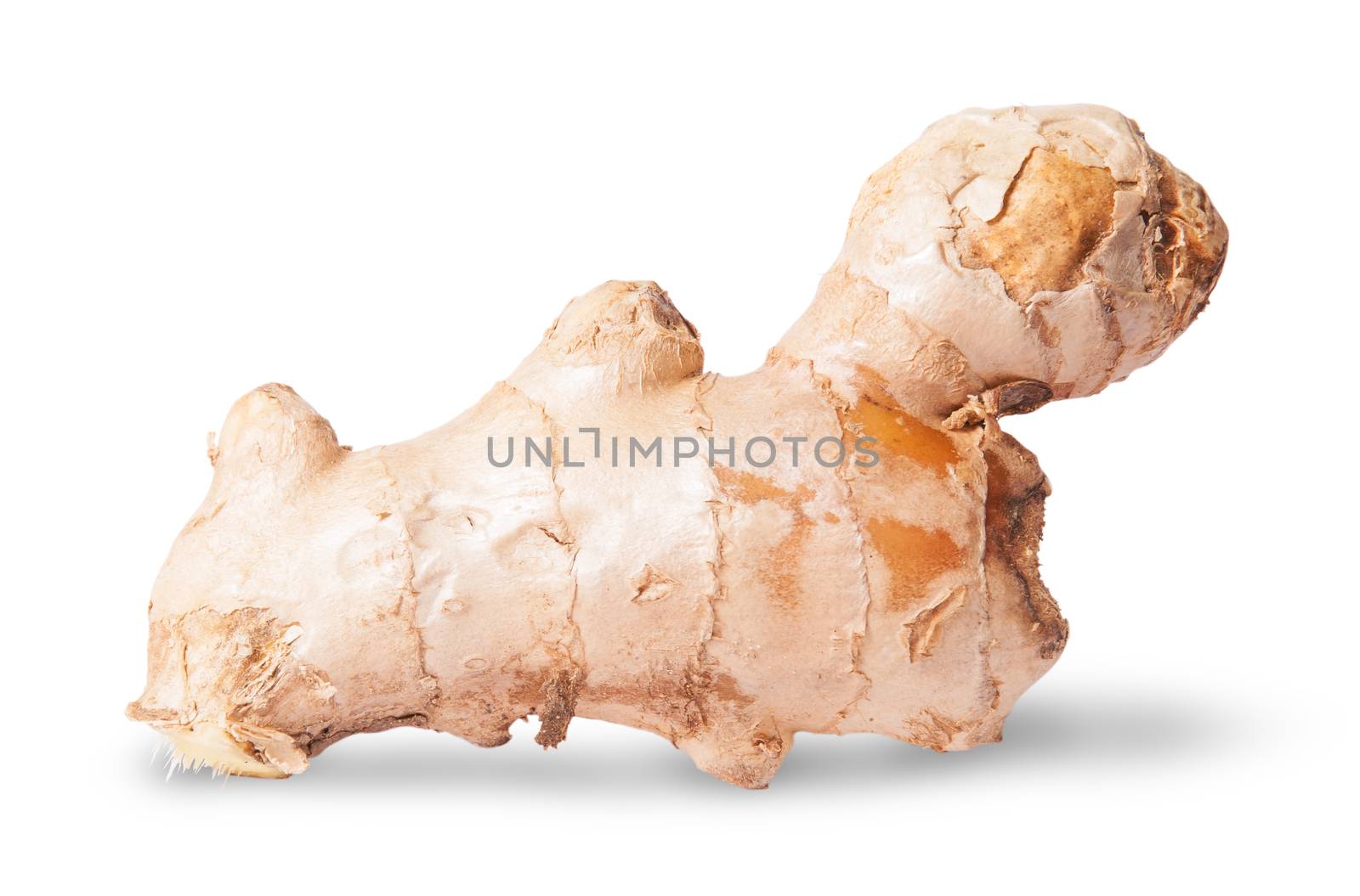 Half ginger root isolated on white background