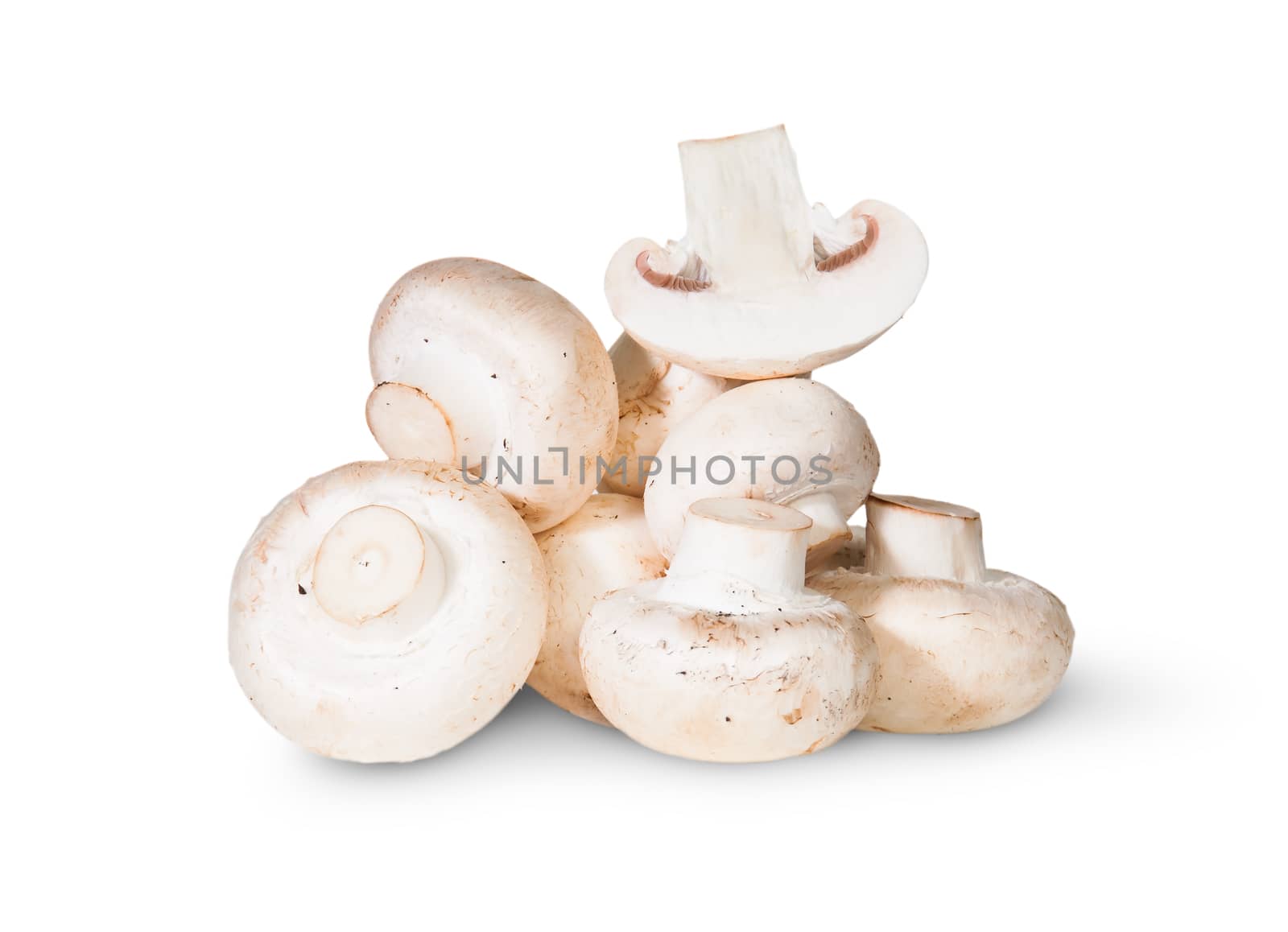 Pile Of Mushrooms And One Half Isolated On White Background