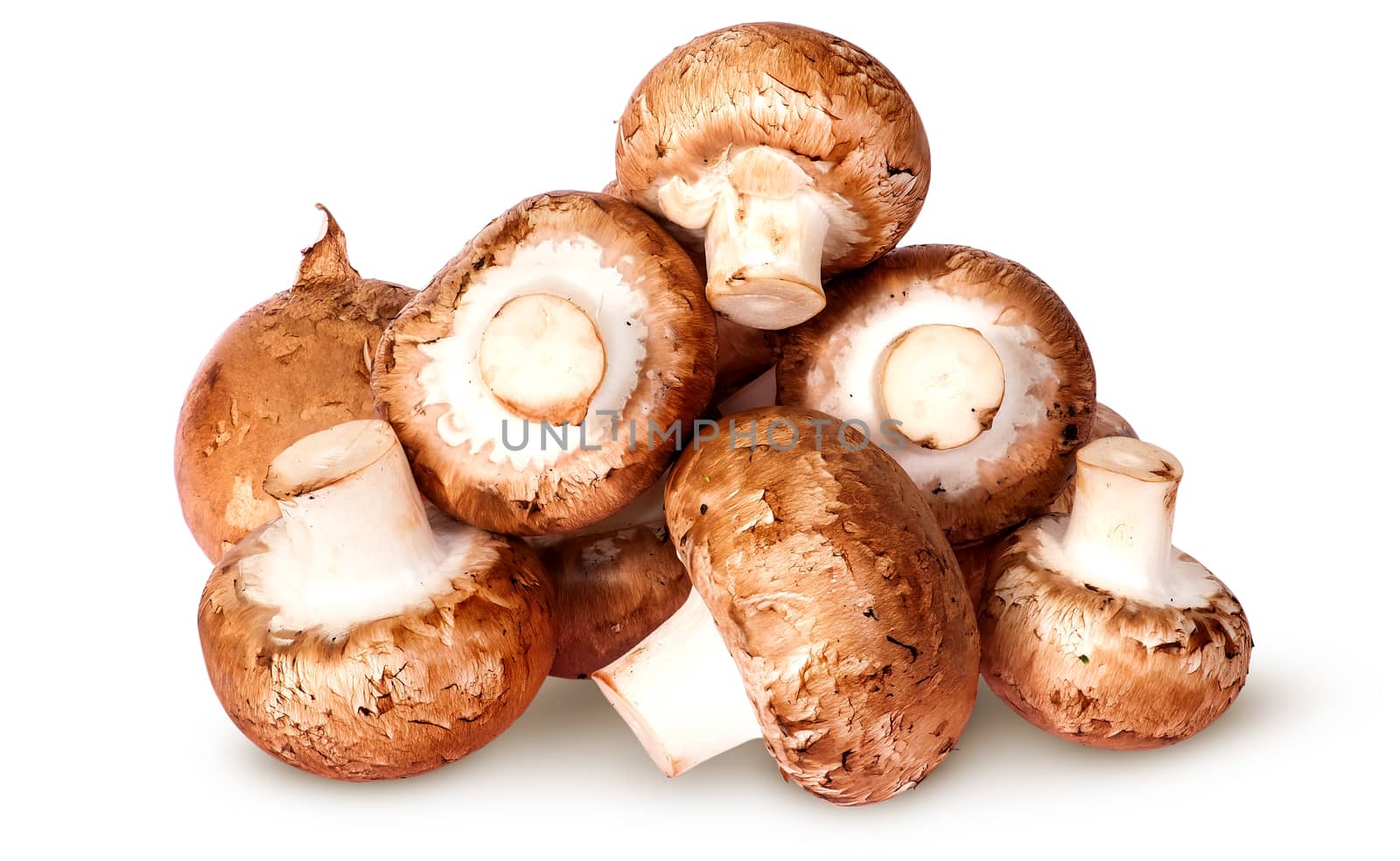 Pile of fresh brown champignon top view isolated on white background