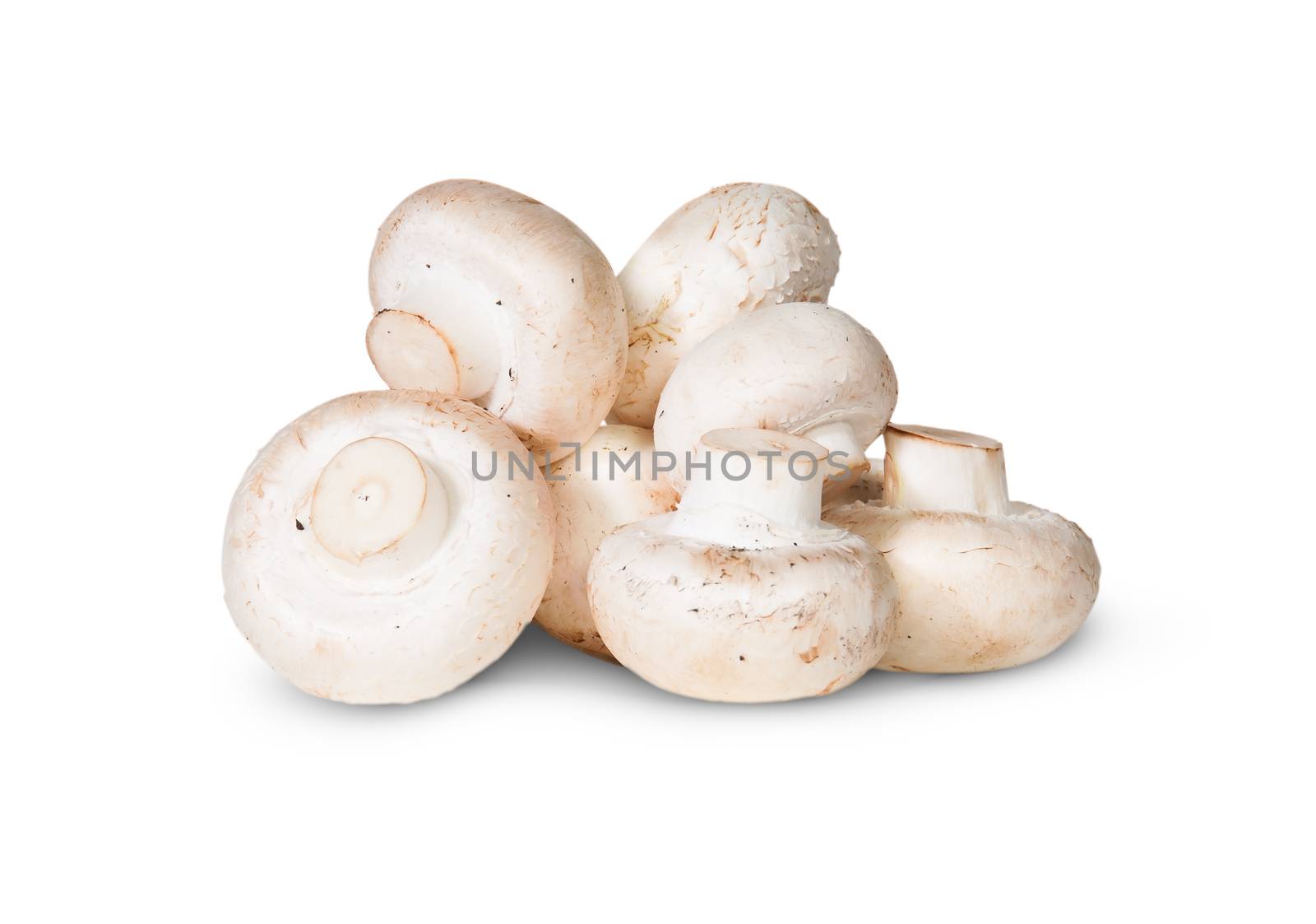 Pile Of Mushrooms Isolated On White Background