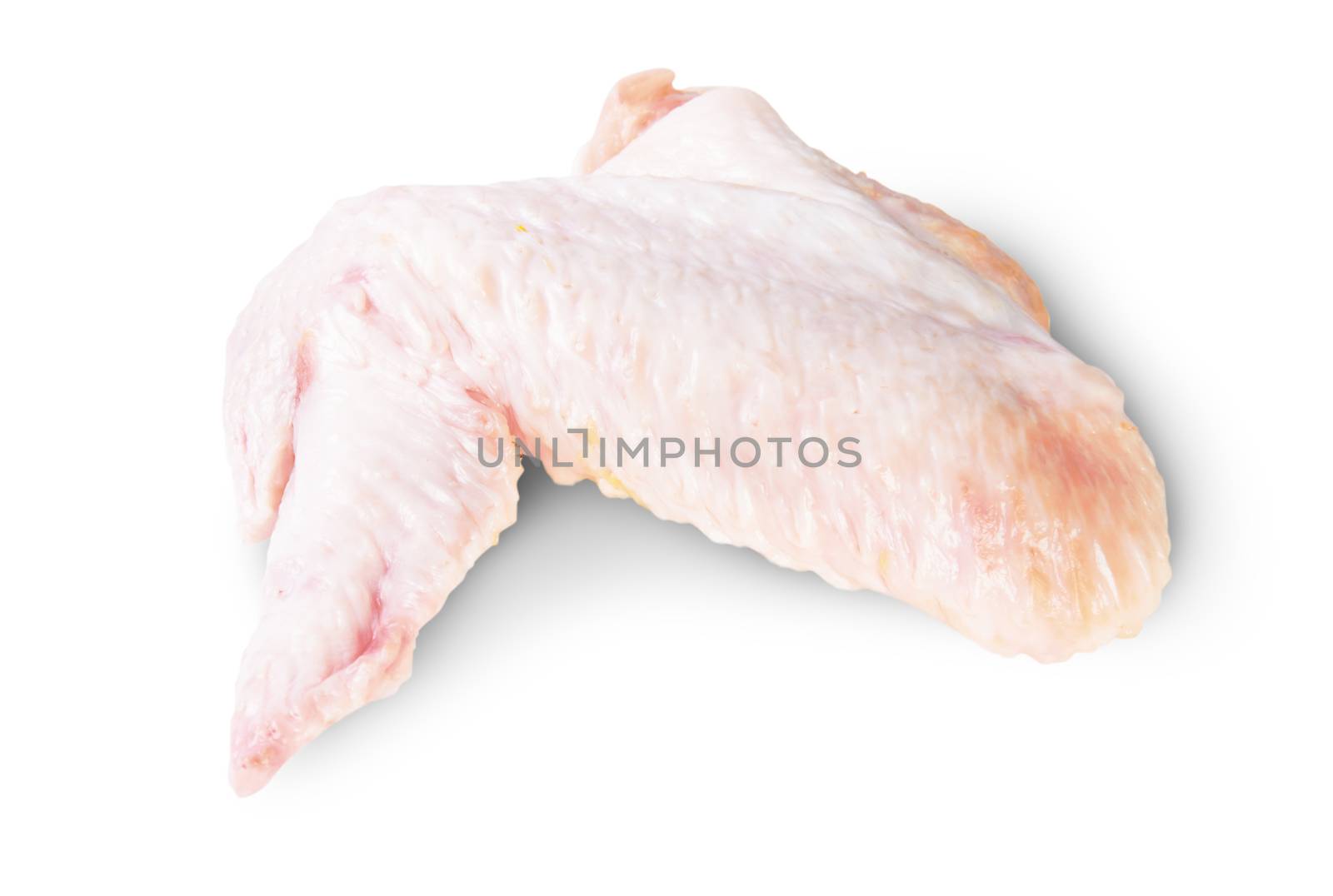 Raw Chicken Wing Isolated On White Background