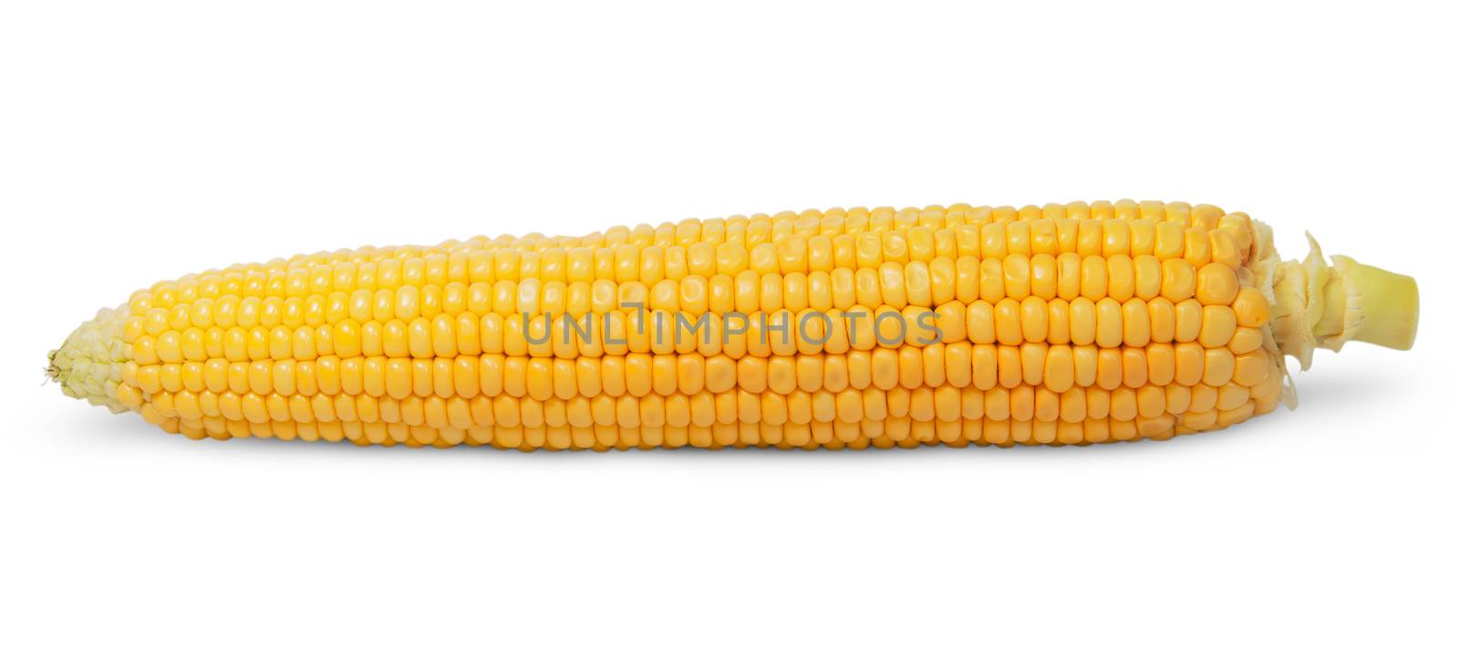 Purified ear of corn isolated on white background
