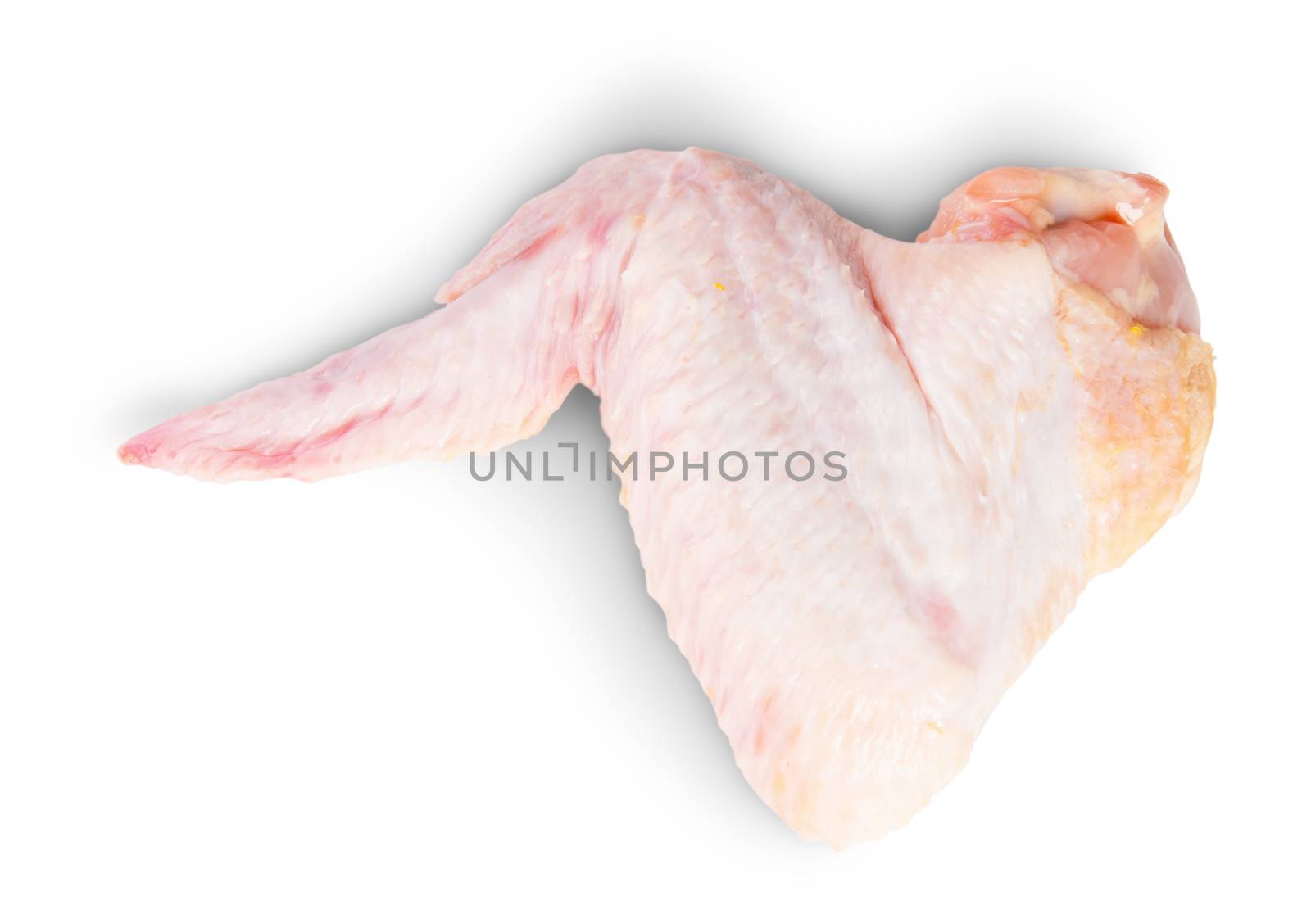 Raw Chicken Wing Rotated Isolated On White Background