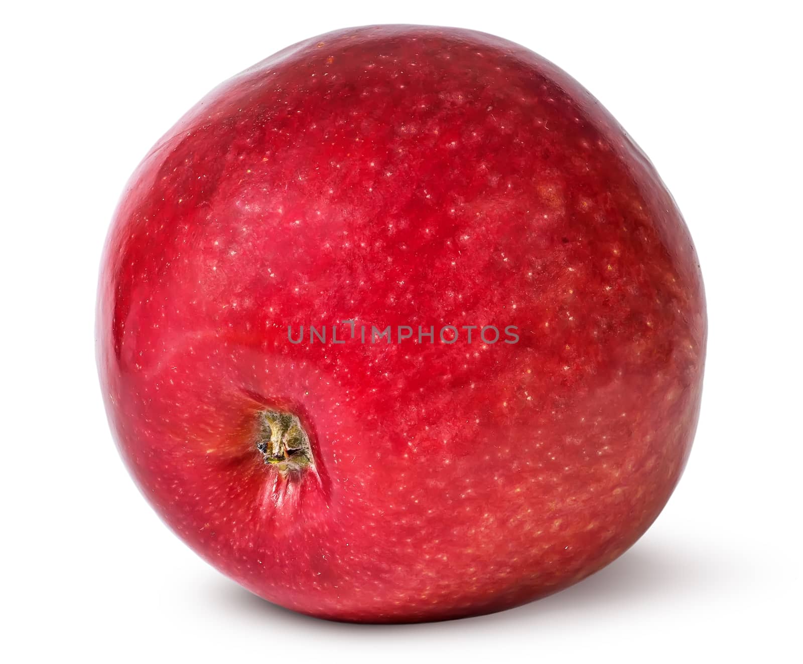 Red ripe apple bottom view isolated on white background