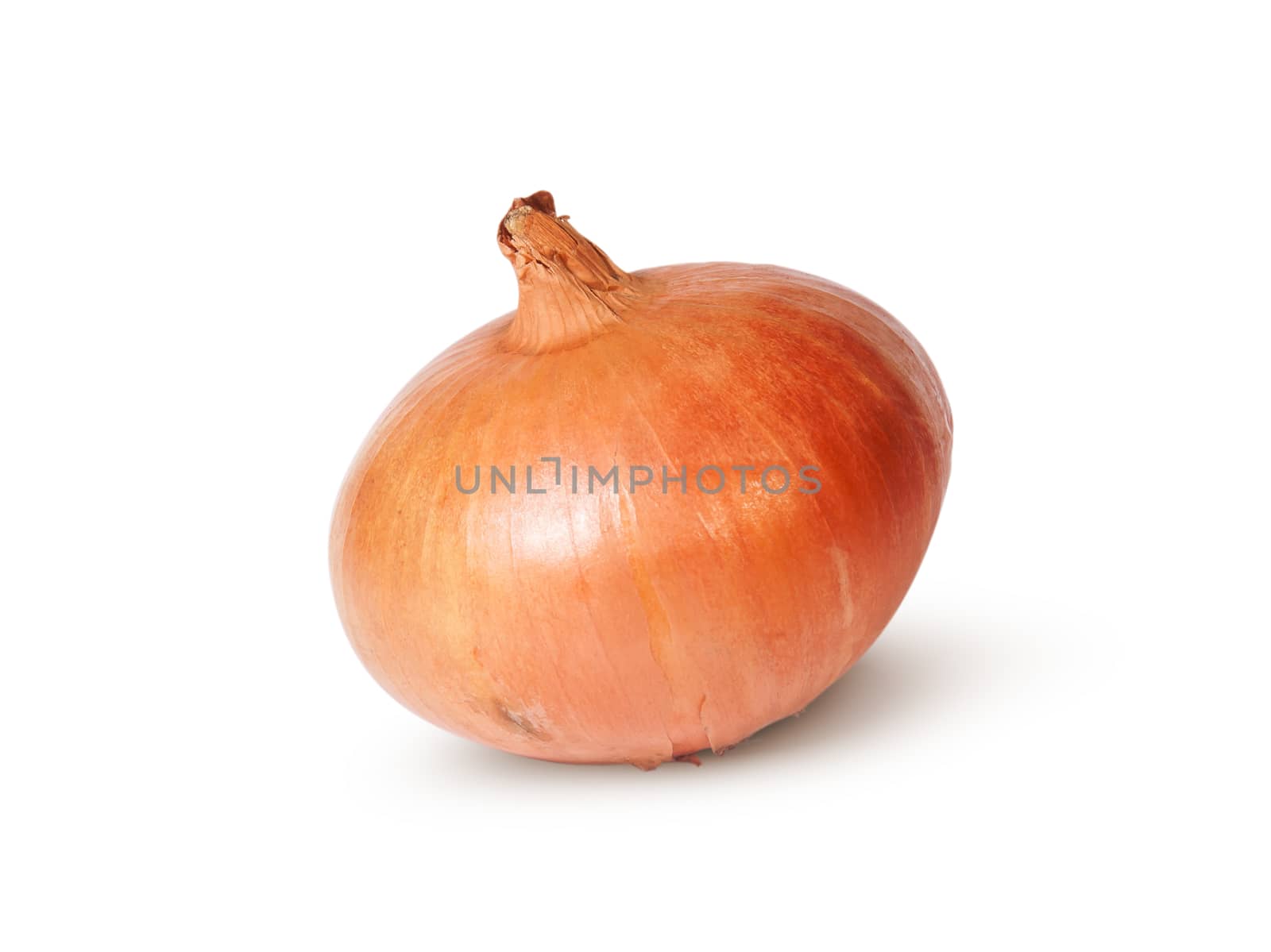 Single Fresh Golden Onion Isolated On White Background