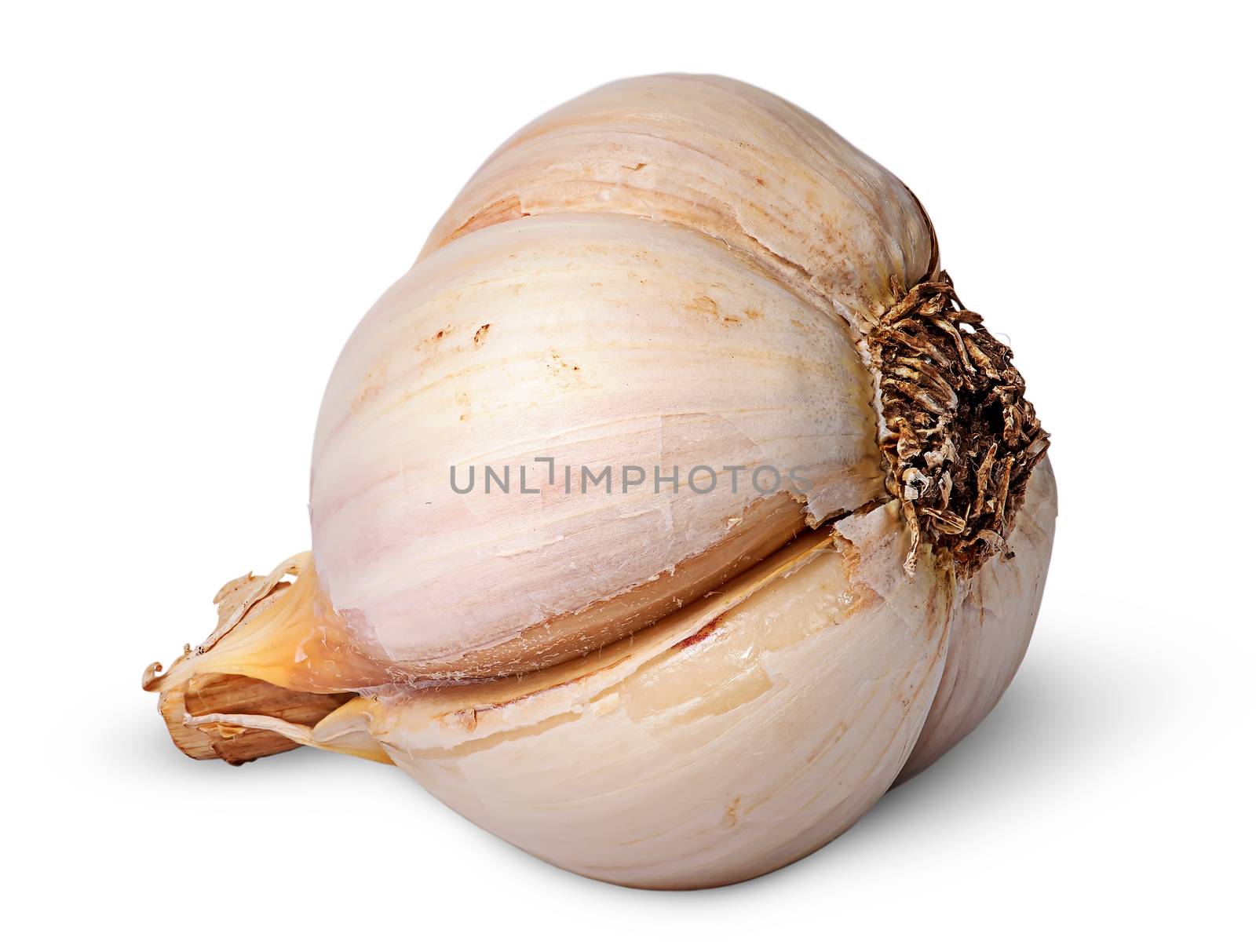 Single garlic bulb lying on the side isolated on white background