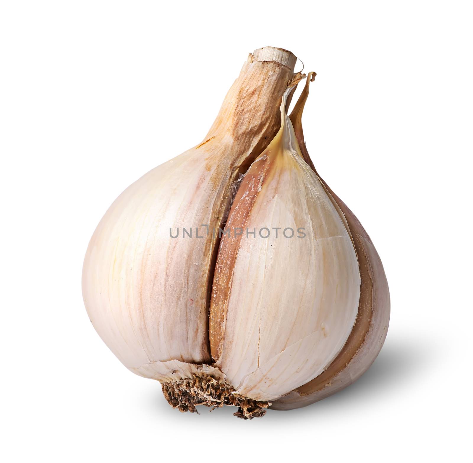 Single garlic bulb isolated on white background