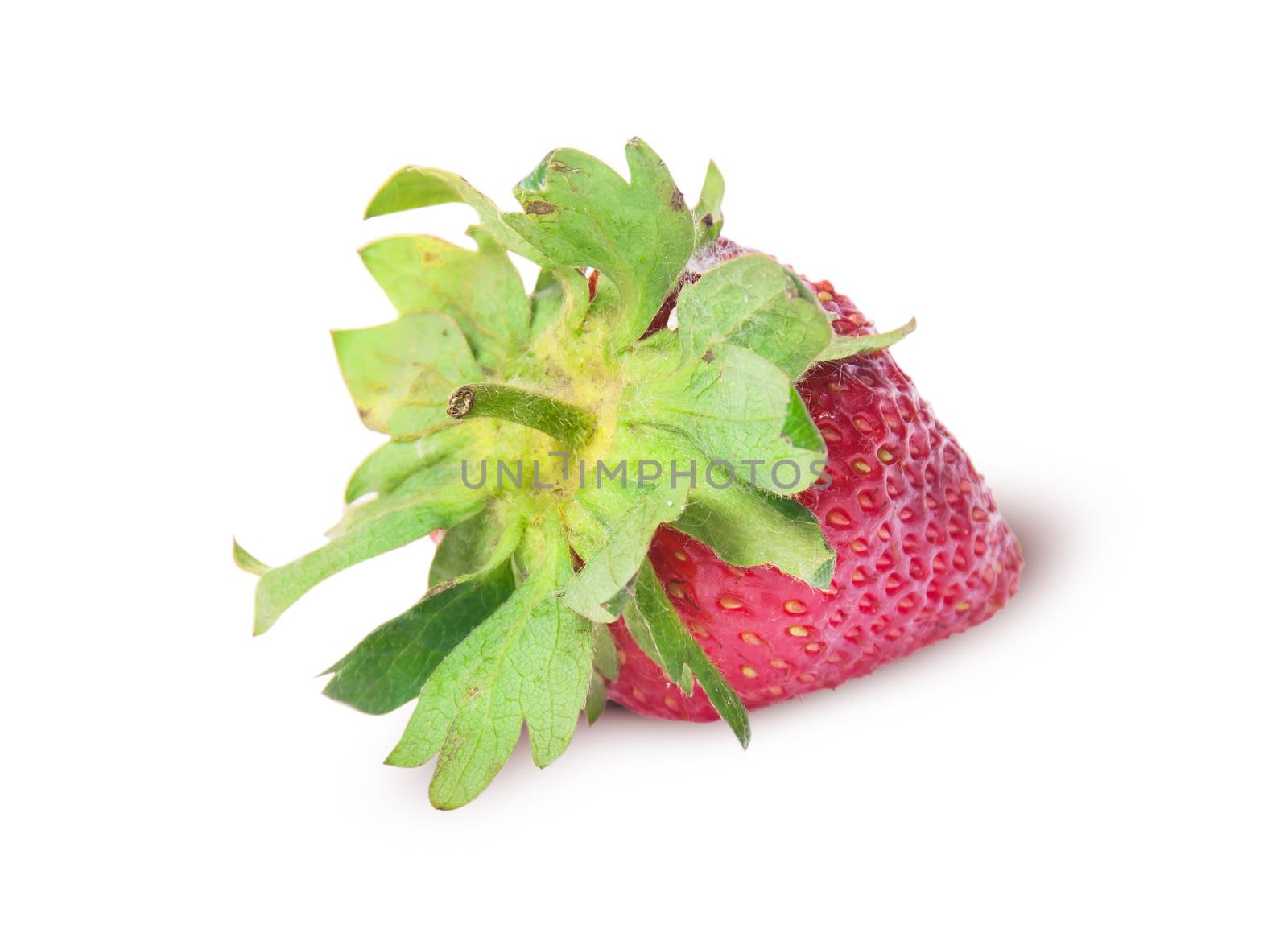 Single freshly strawberries backwards isolated on white background