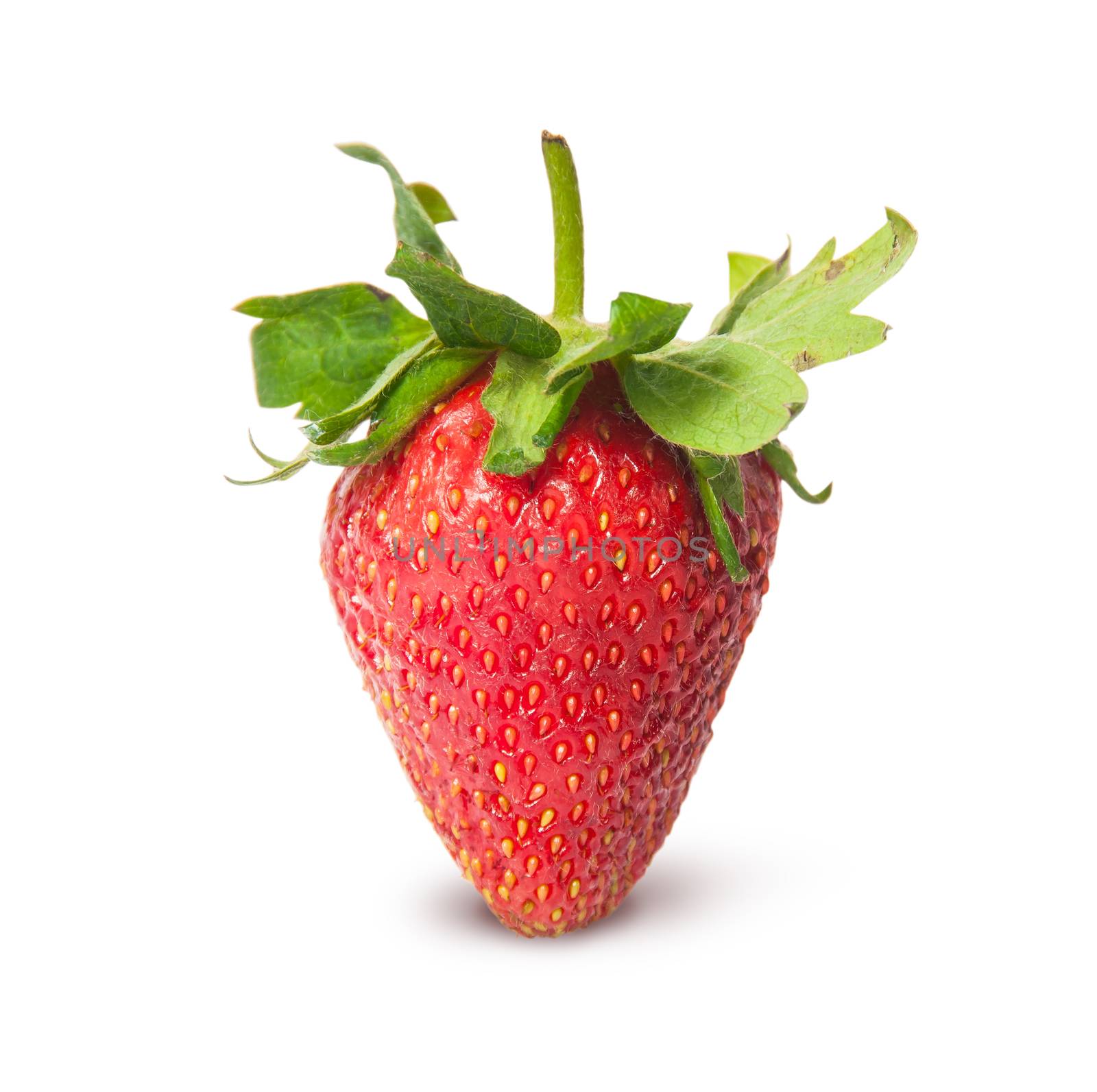 Single ripe juicy strawberry by Cipariss