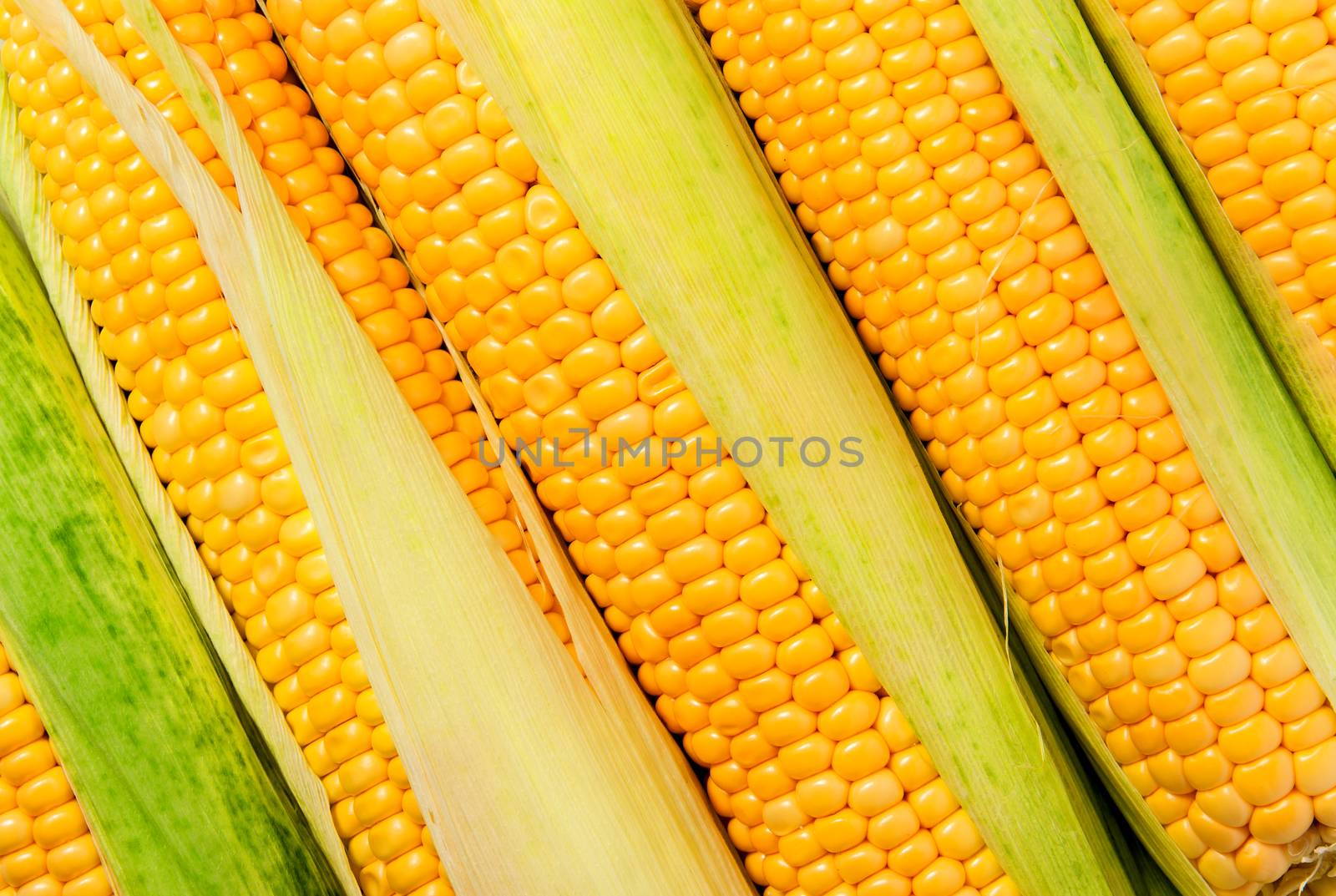 Background of stacked near peeled corn cobs diagonally