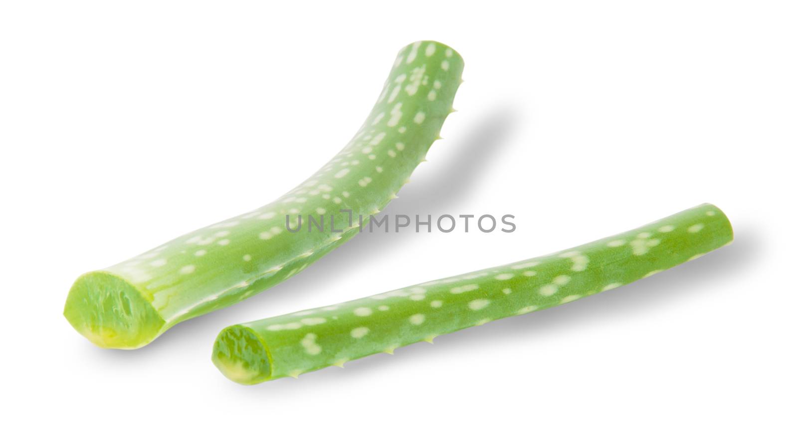 Stalks Of Aloe Isolated On White Background