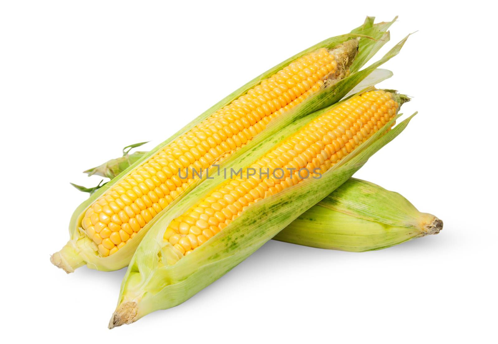 Three corn cob lying cross isolated on white background