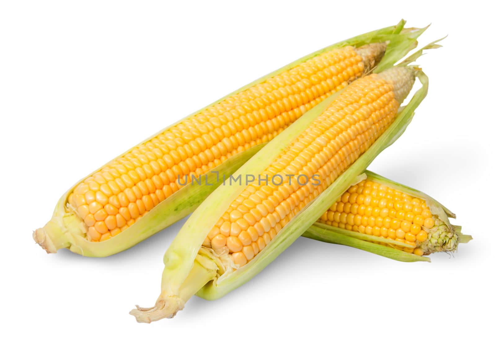 Three partially peeled corn cob lying cross isolated on white background