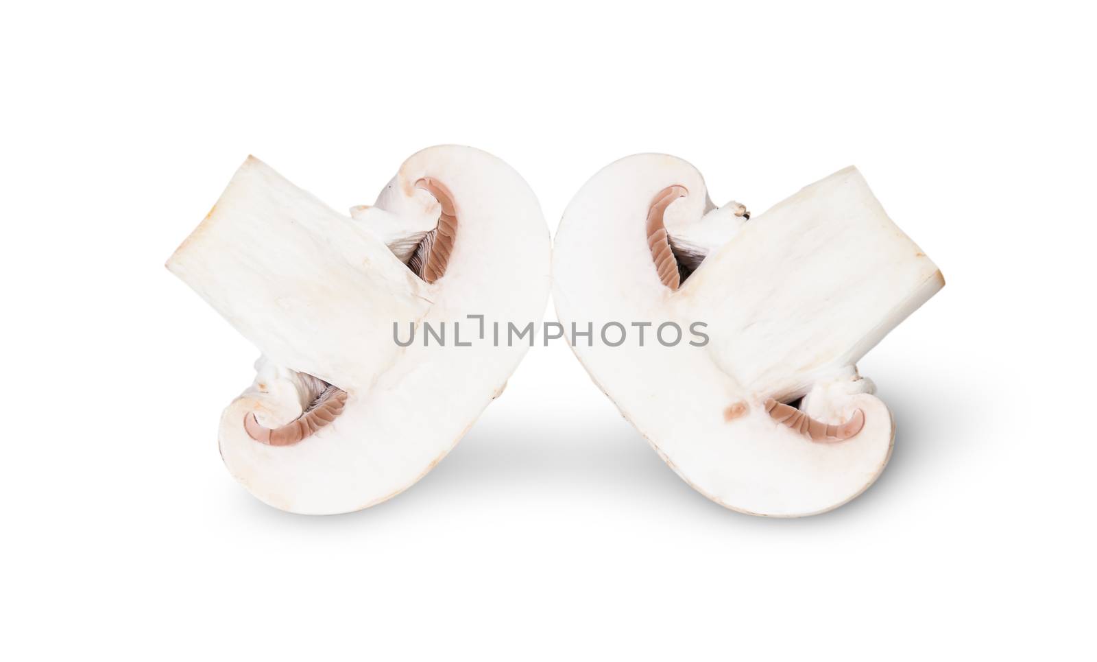 The Two Halves Of Mushroom Isolated On White Background