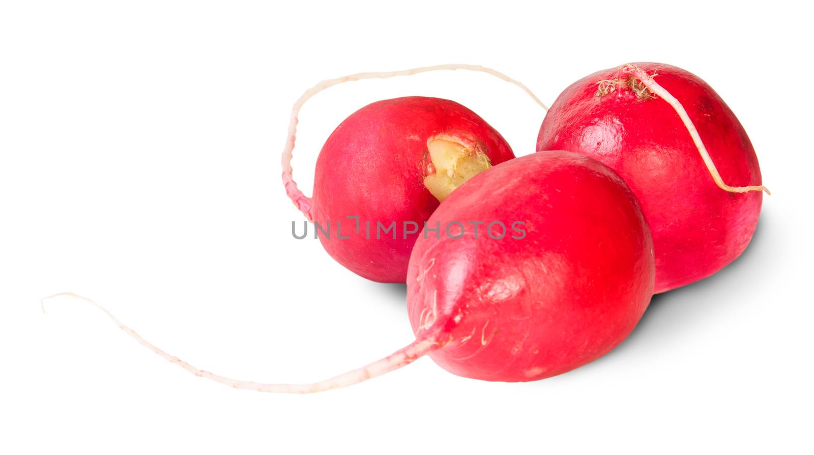 Three Fresh Radishes Isolated On White Background