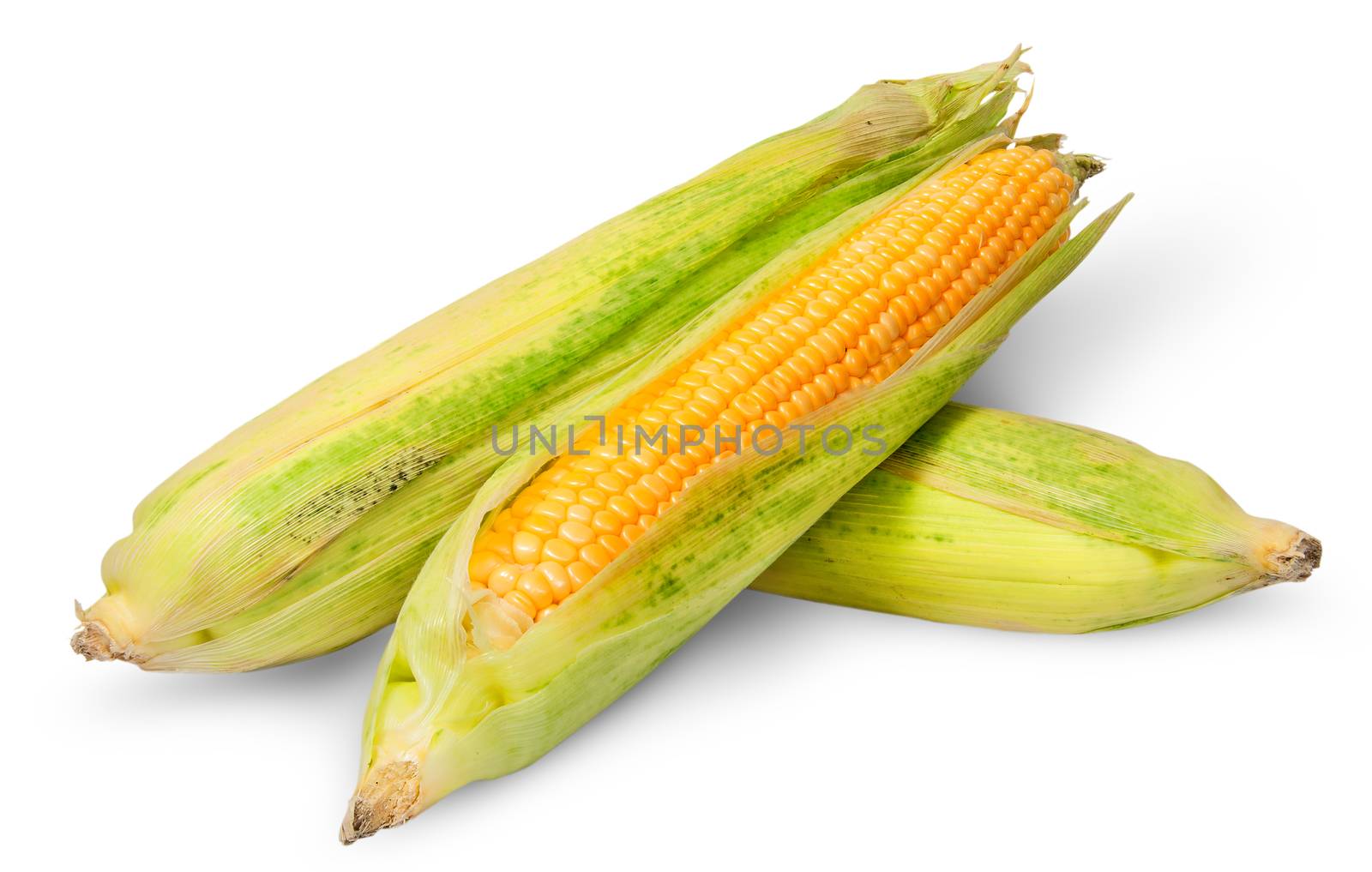 Three cross lying corn cob isolated on white background