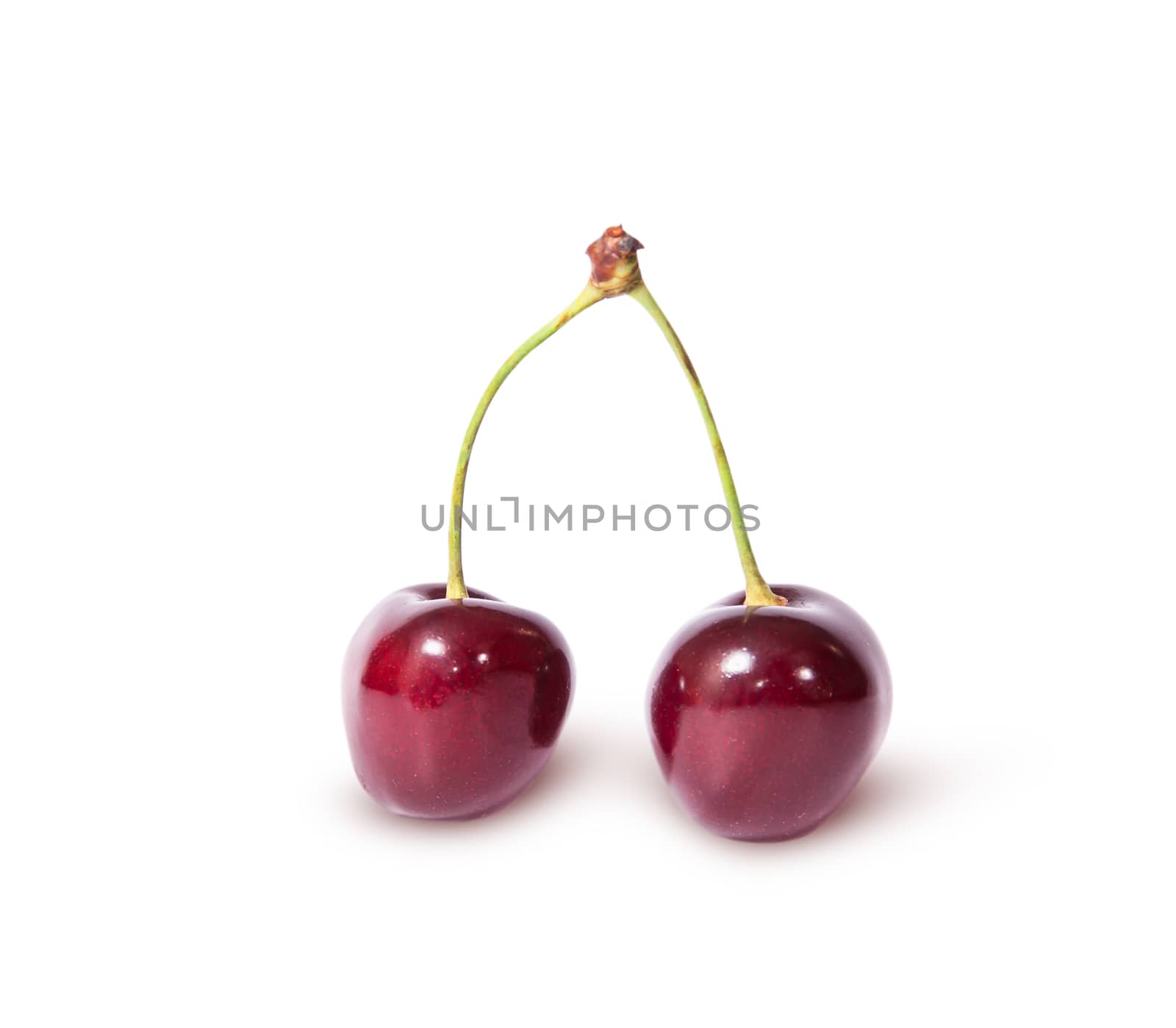 Two burgundy sweet cherries by Cipariss