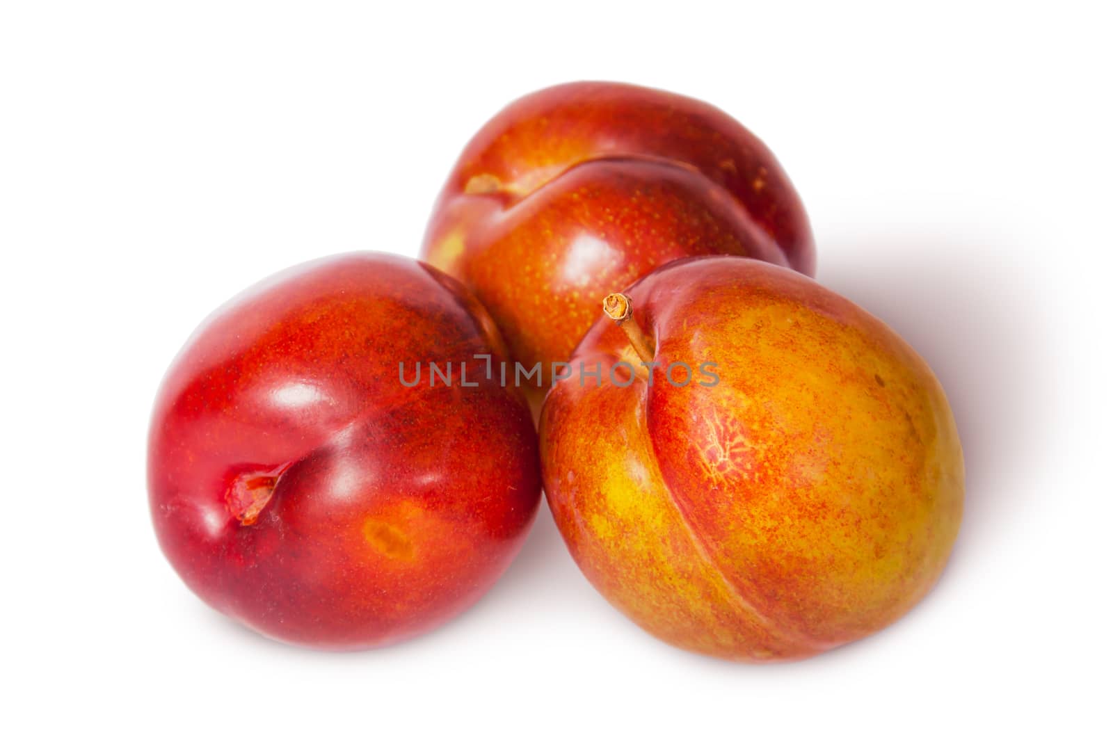 Three yellow and red plum near isolated on white background