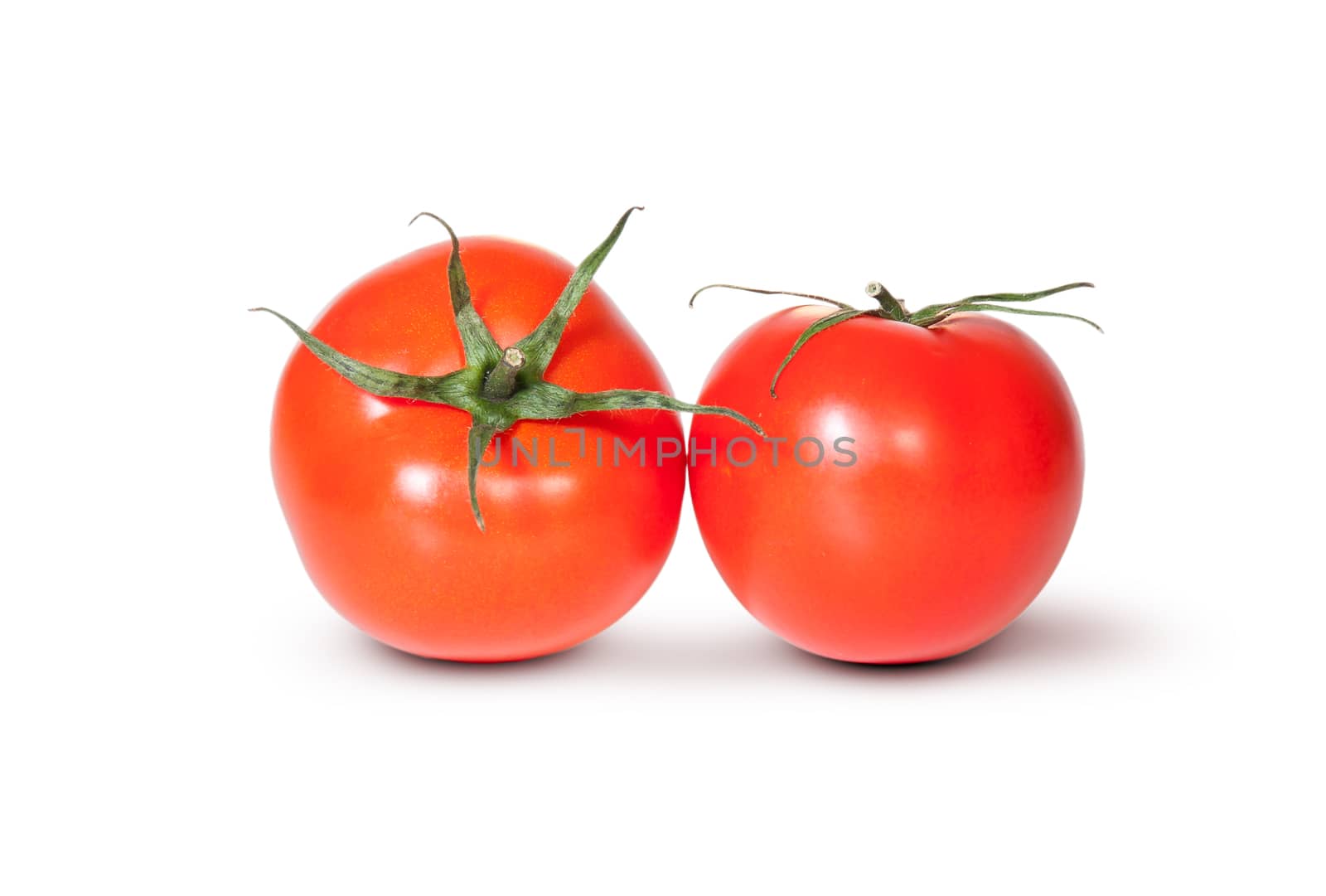 Two Fresh Red Juicy Tomato by Cipariss