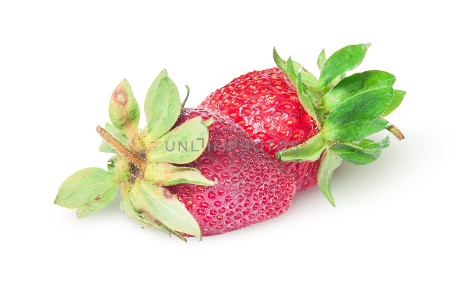 Two freshly strawberries rotated isolated on white background