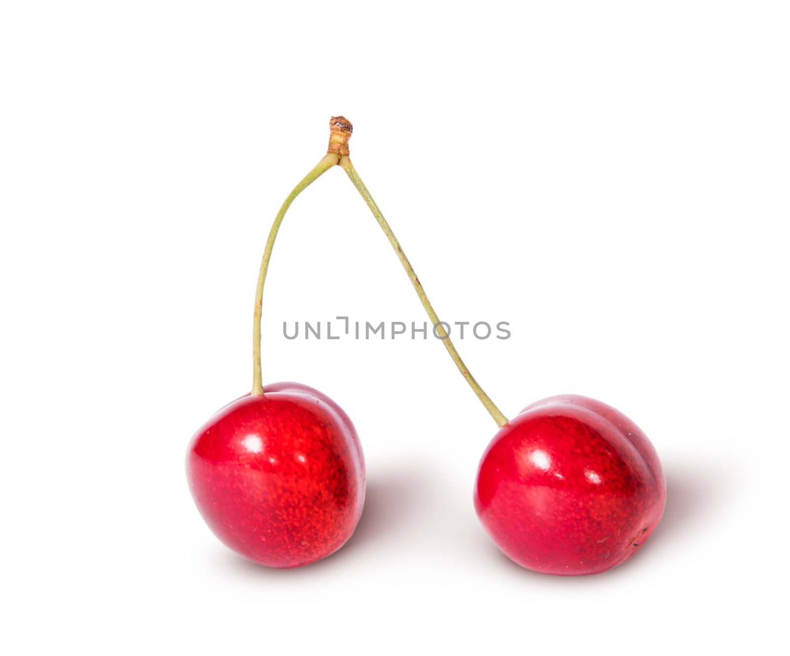 Two red juicy sweet cherries sloping isolated on white background