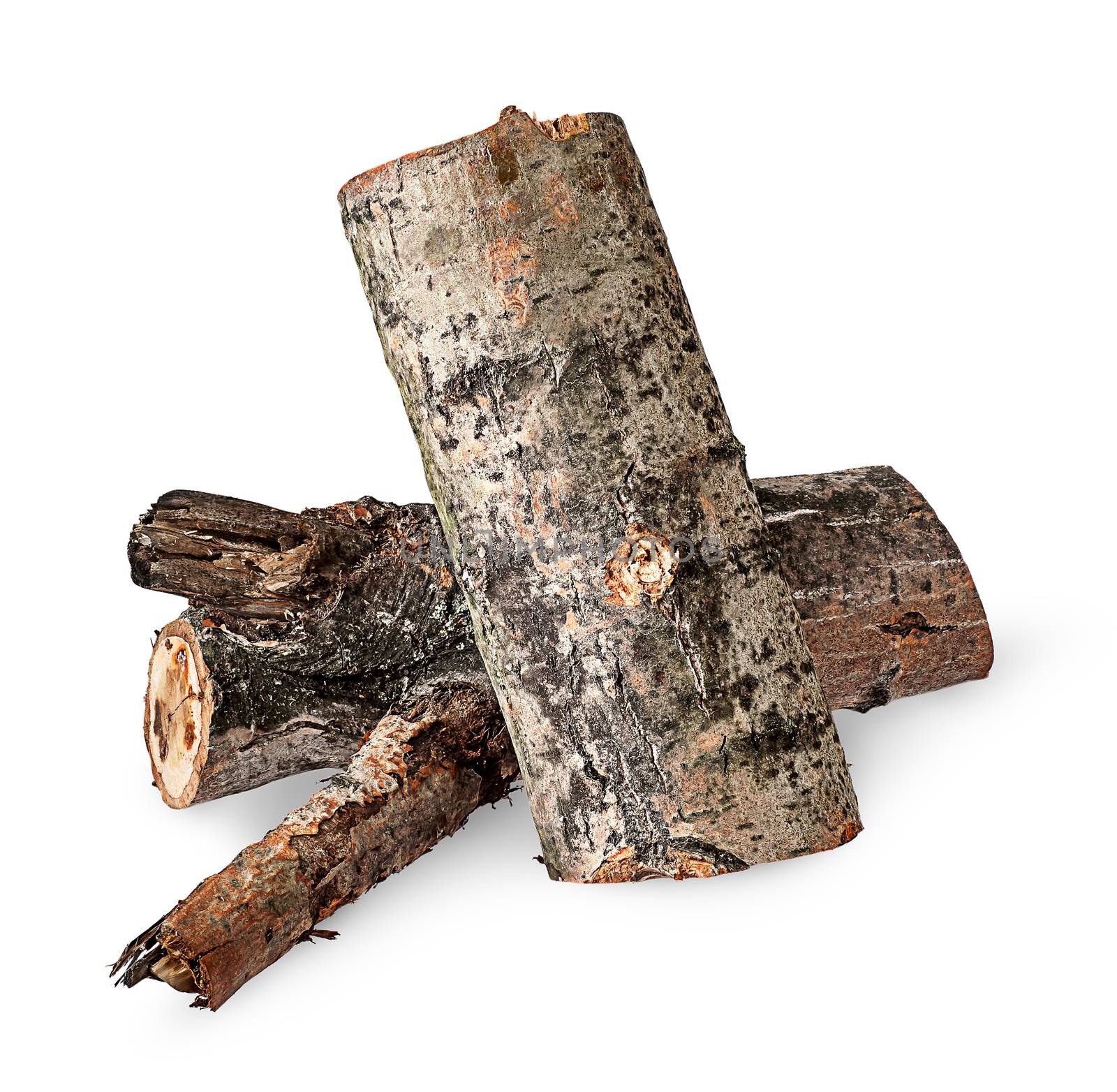 Two poplar logs isolated on white background