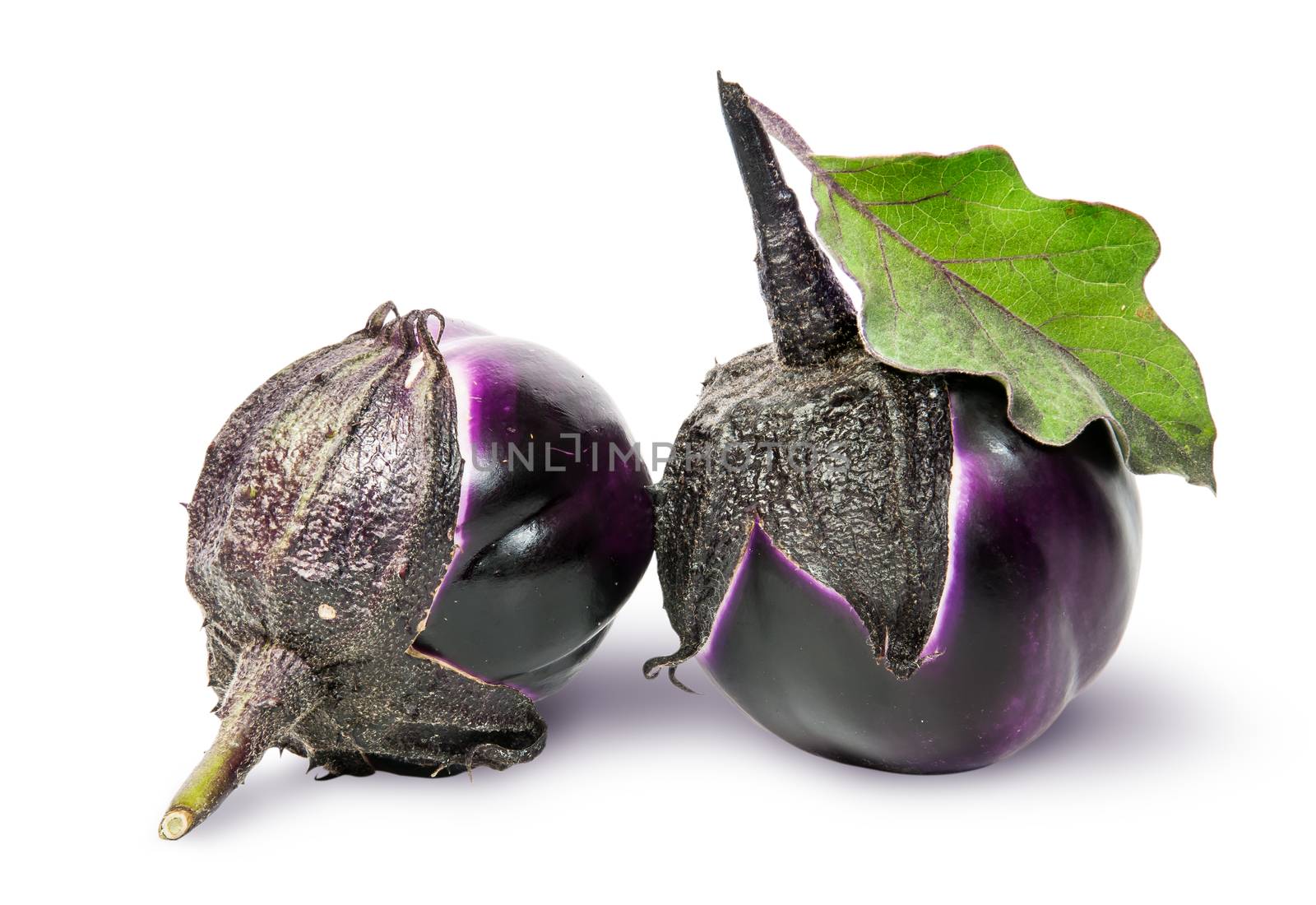 Two round ripe eggplant with green leaf rotated by Cipariss