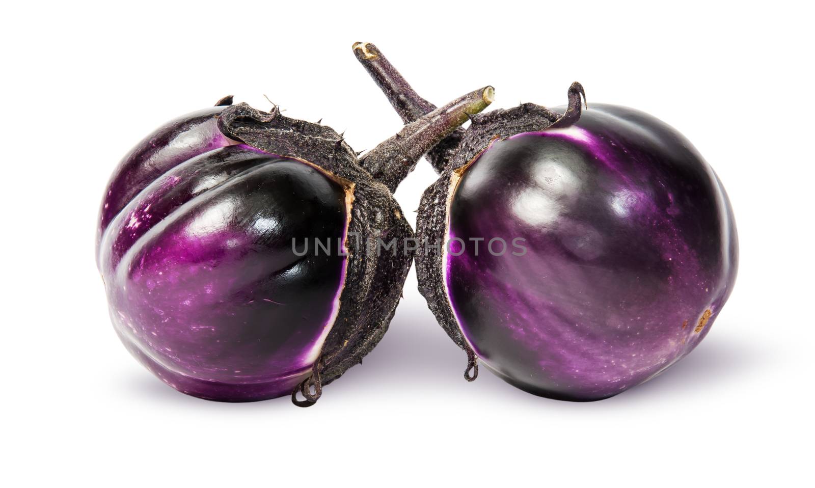 Two round ripe eggplant isolated on white background