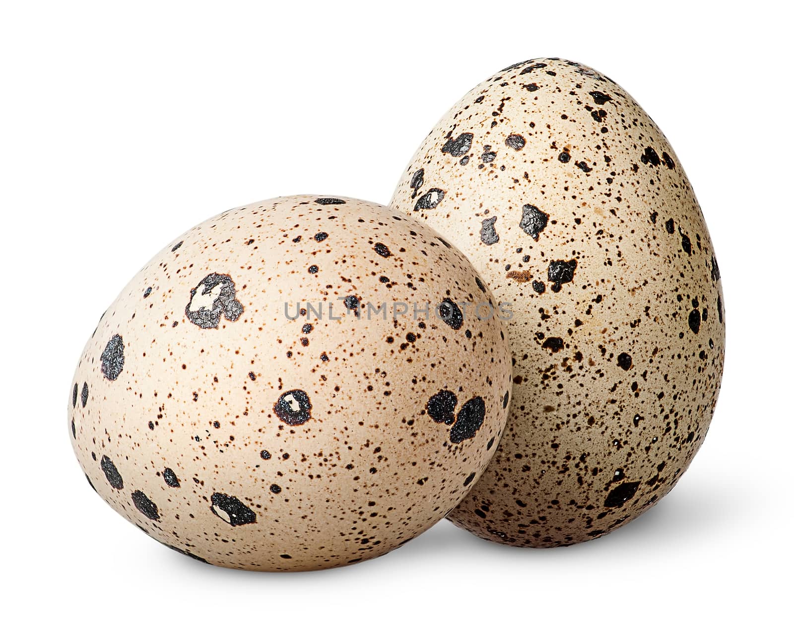 Two quail eggs beside by Cipariss