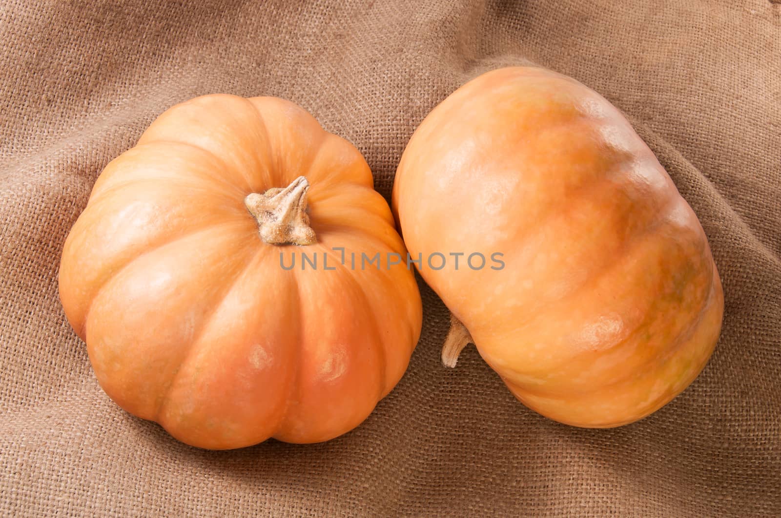 Two Pumpkins On Sackcloth Isolated On White Background