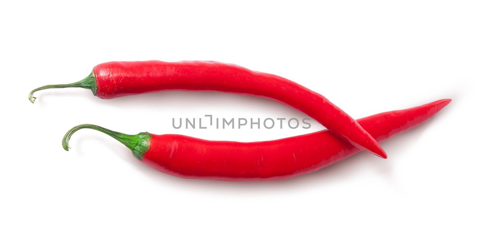 Two red chili peppers crossed by Cipariss