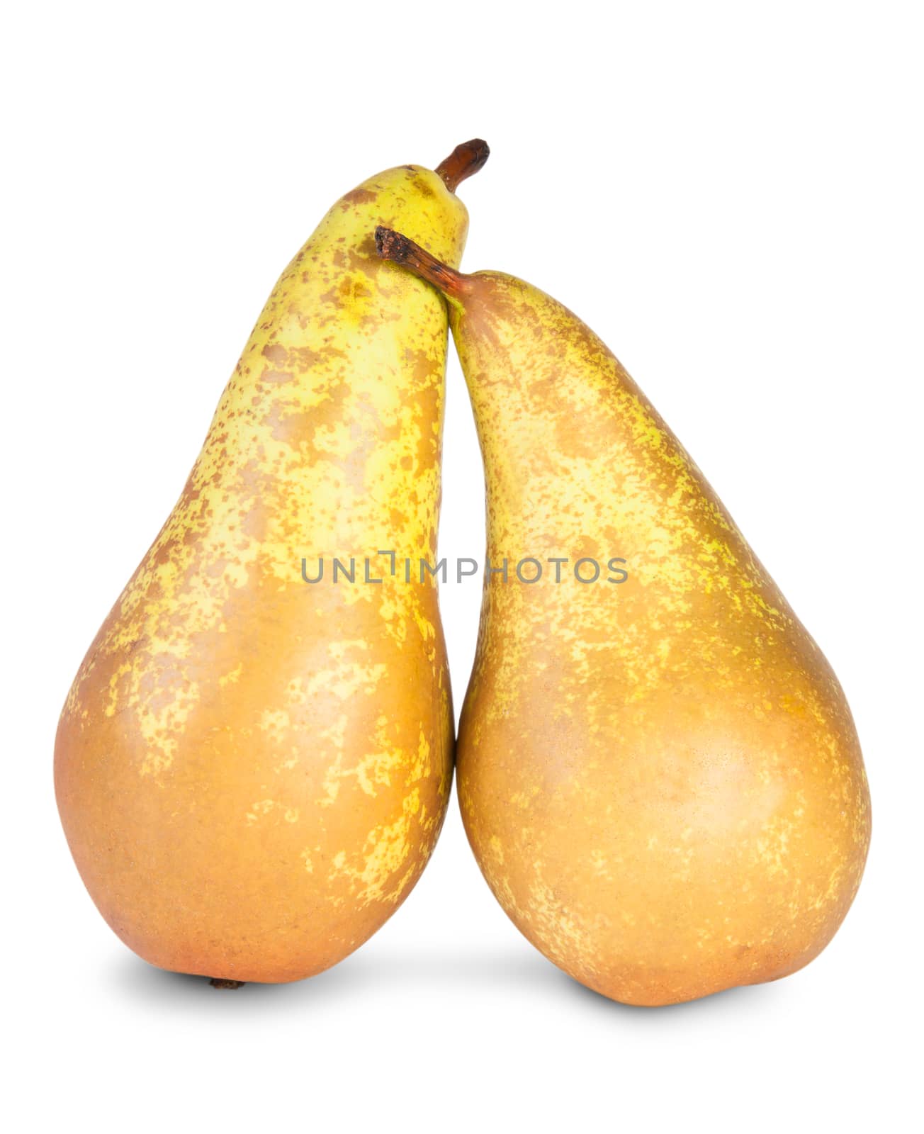 Two Ripe Pears by Cipariss