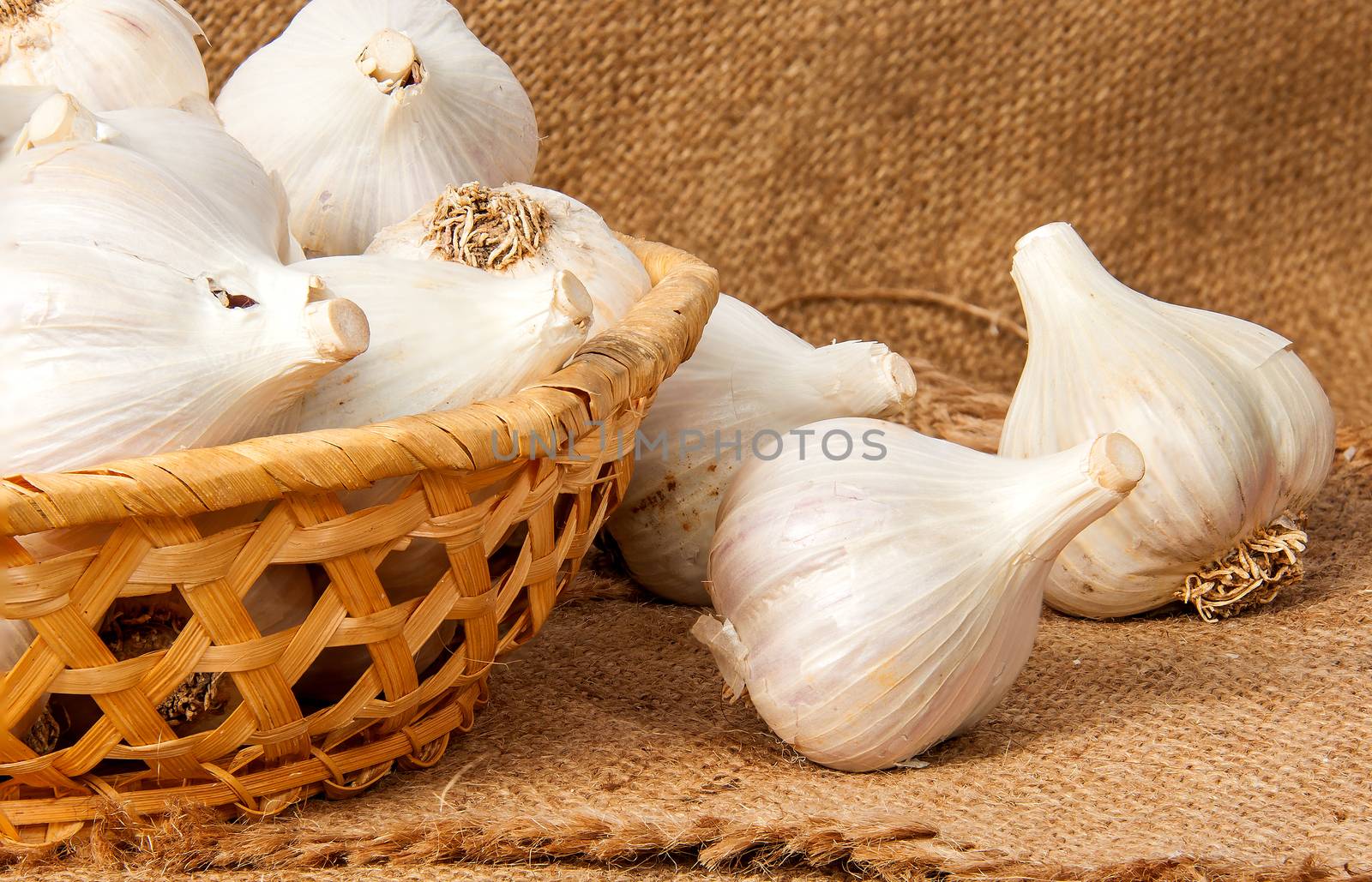 Whole head of garlic in a wicker basket on sackcloth