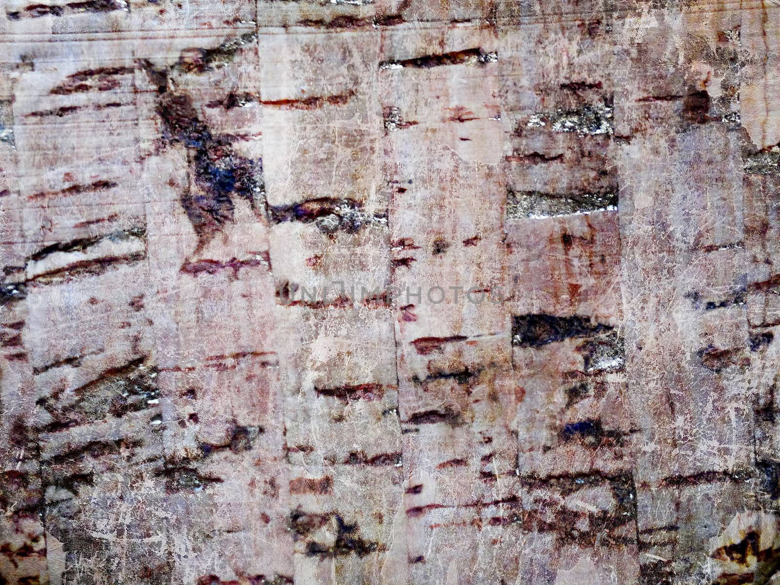 abstract grunge wood texture background by elena_vz