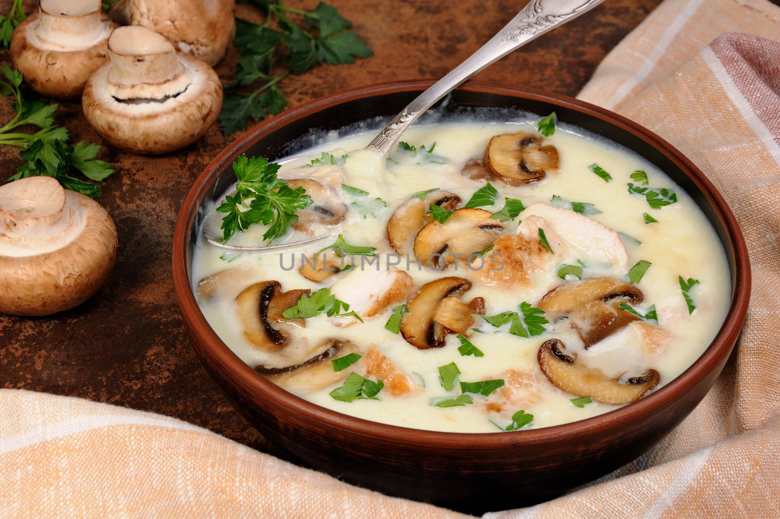 Delicate soup puree from champignons and chicken with herbs