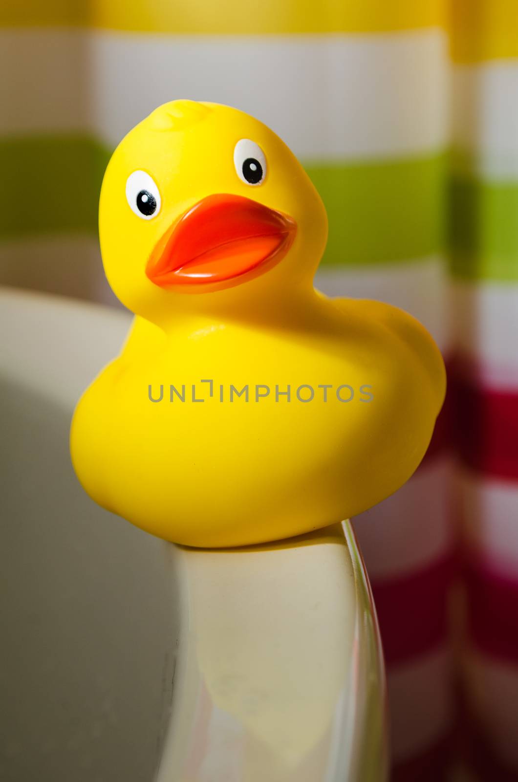 kids toy, yellow rubber duck in a bathroom with colorful shower curtain in the background